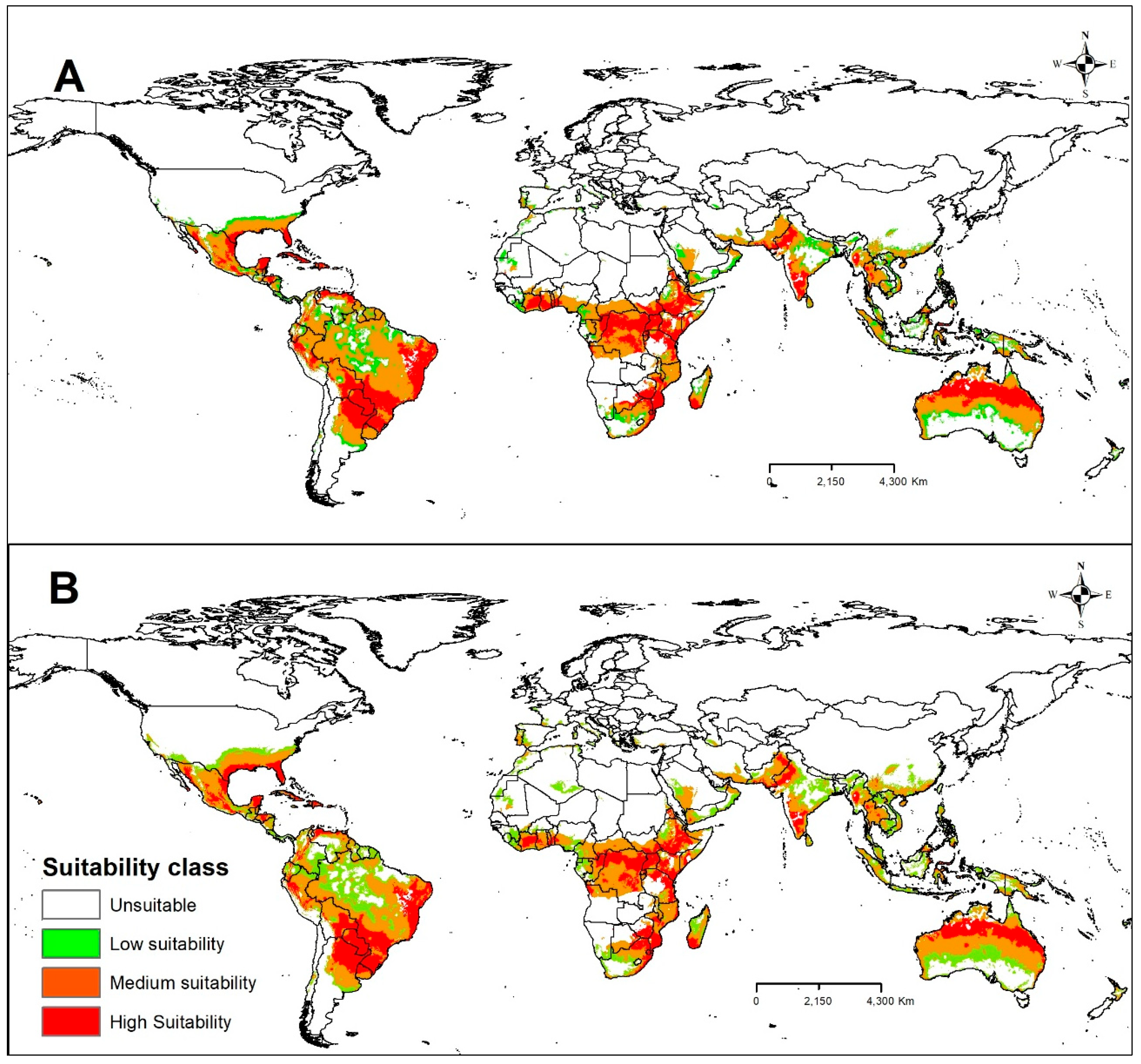 Plants 13 00535 g006