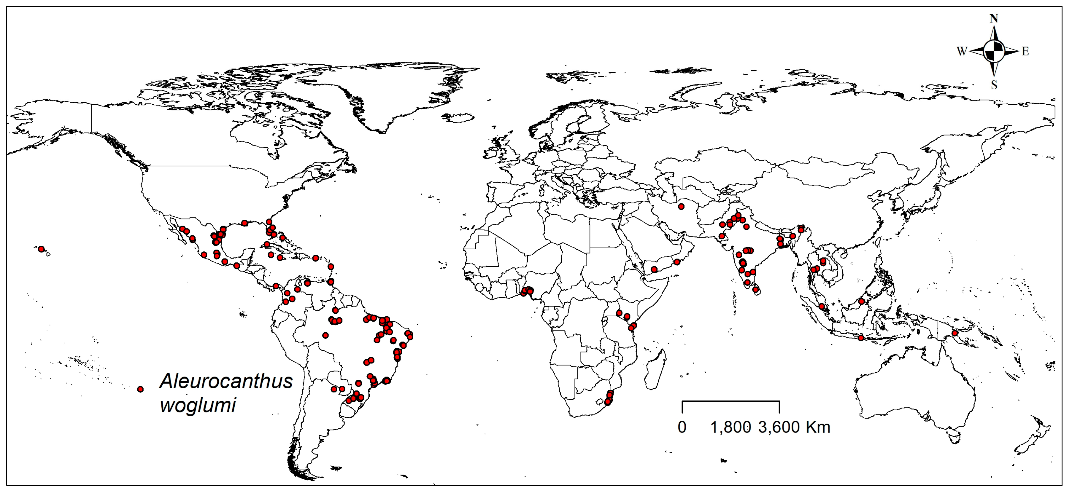 Plants 13 00535 g008