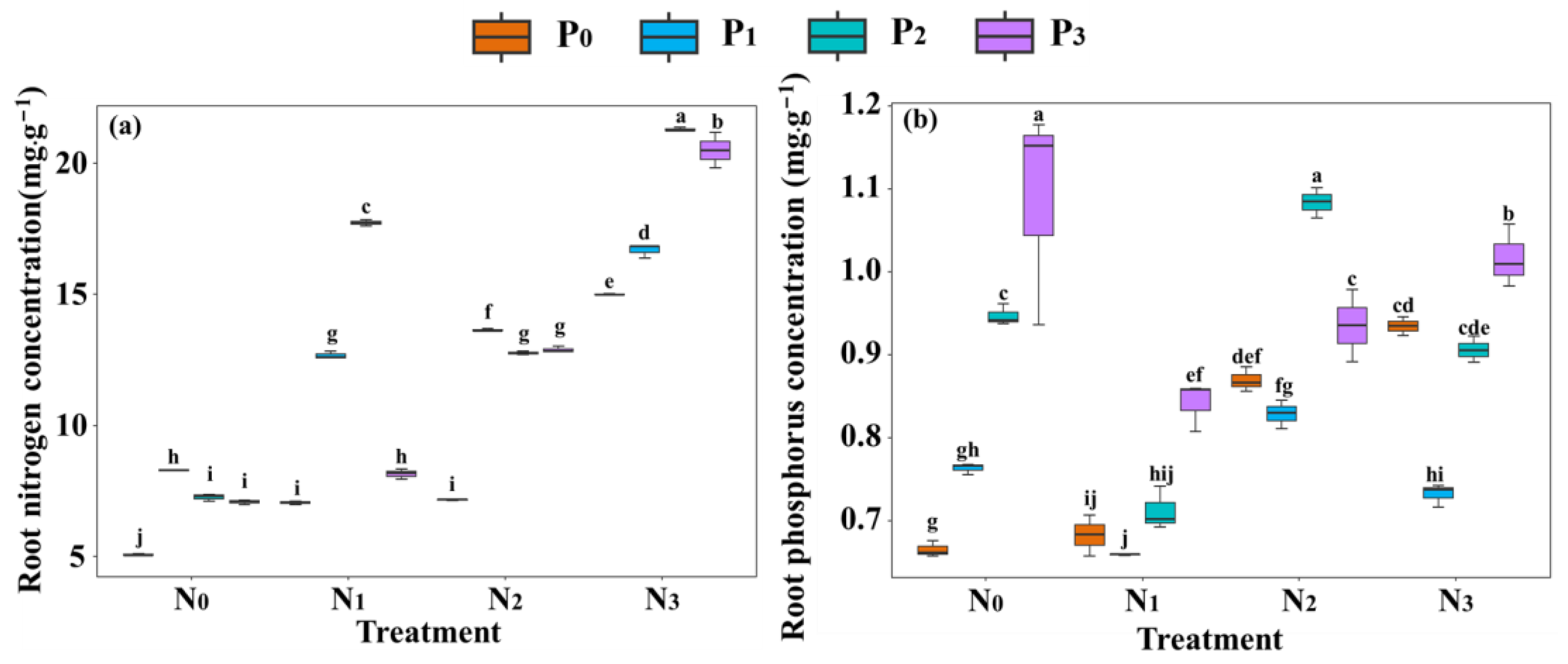 Plants 13 00536 g002