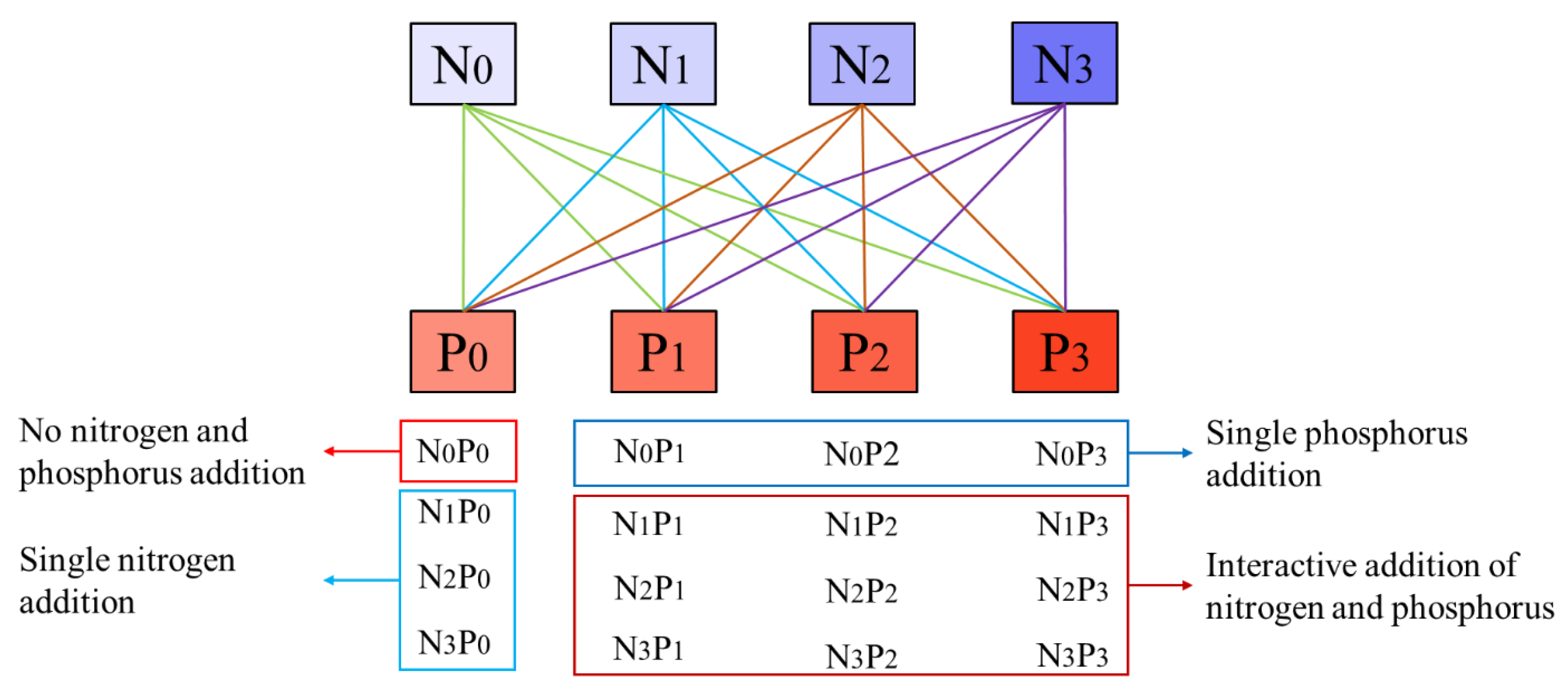 Plants 13 00536 g005