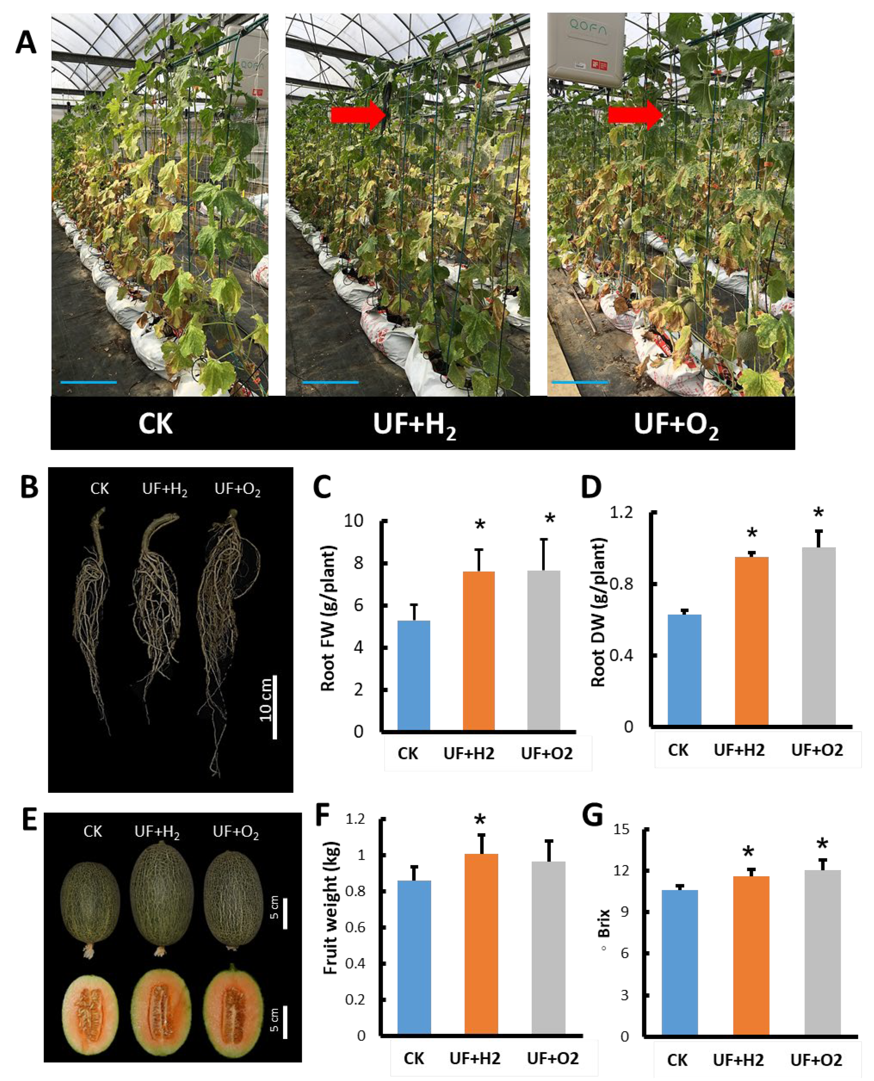 Plants 13 00537 g007