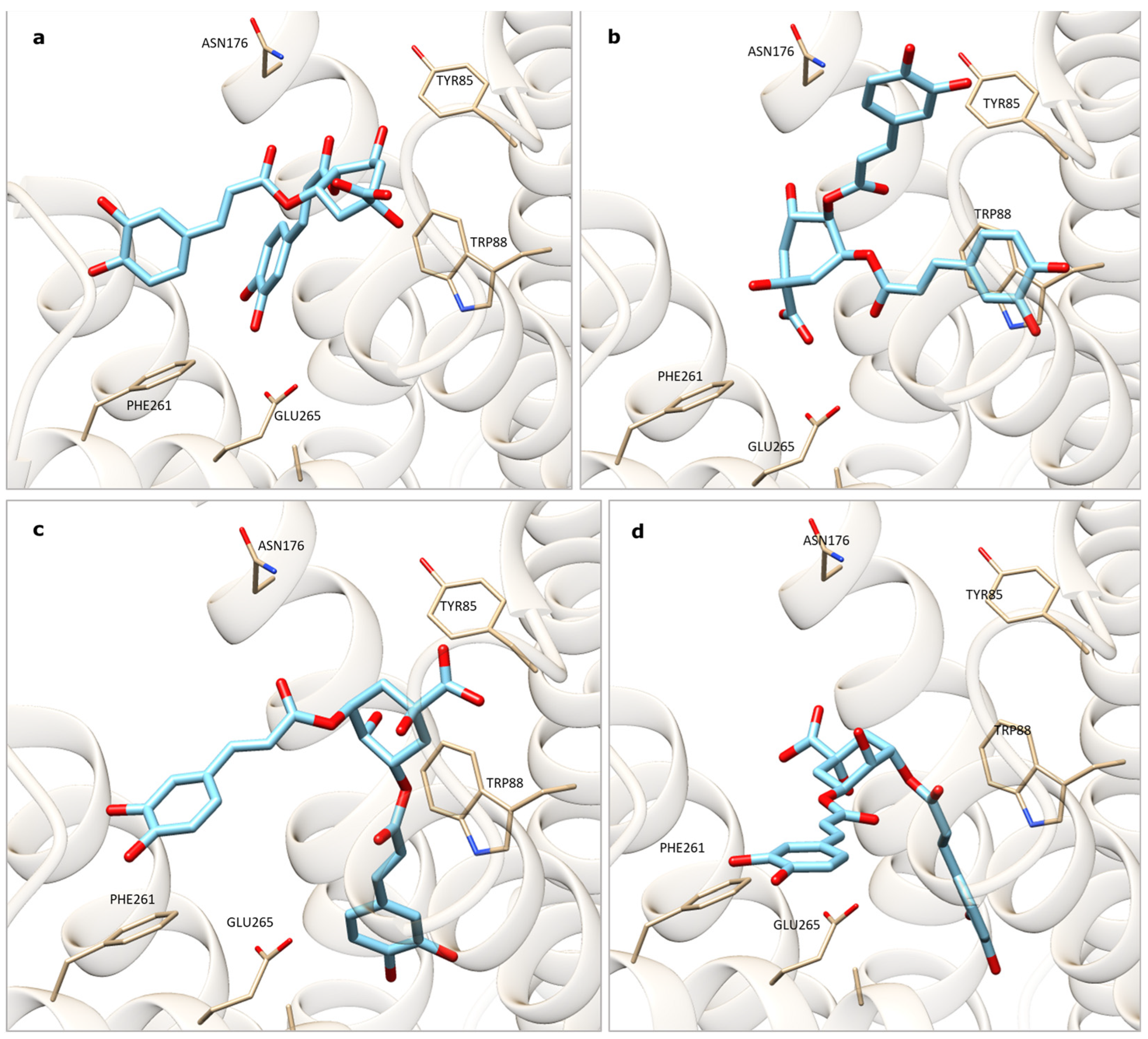 Plants 13 00539 g001 Plants 13 00539 g001