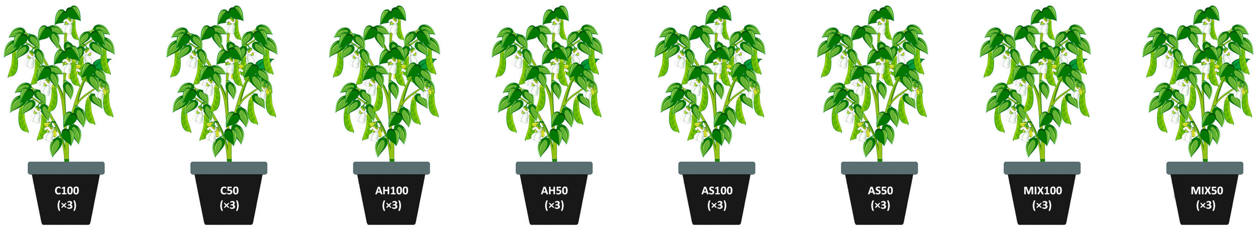 Plants 13 00540 g009