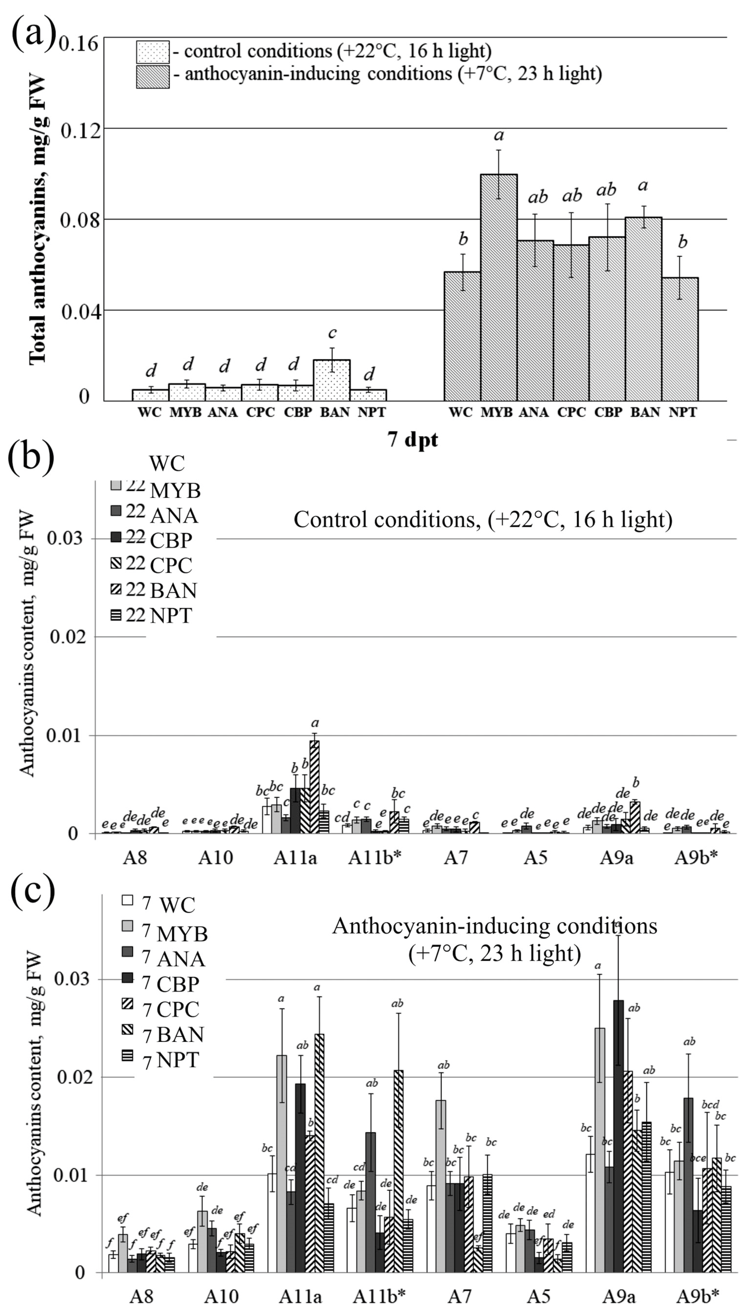 Plants 13 00541 g006