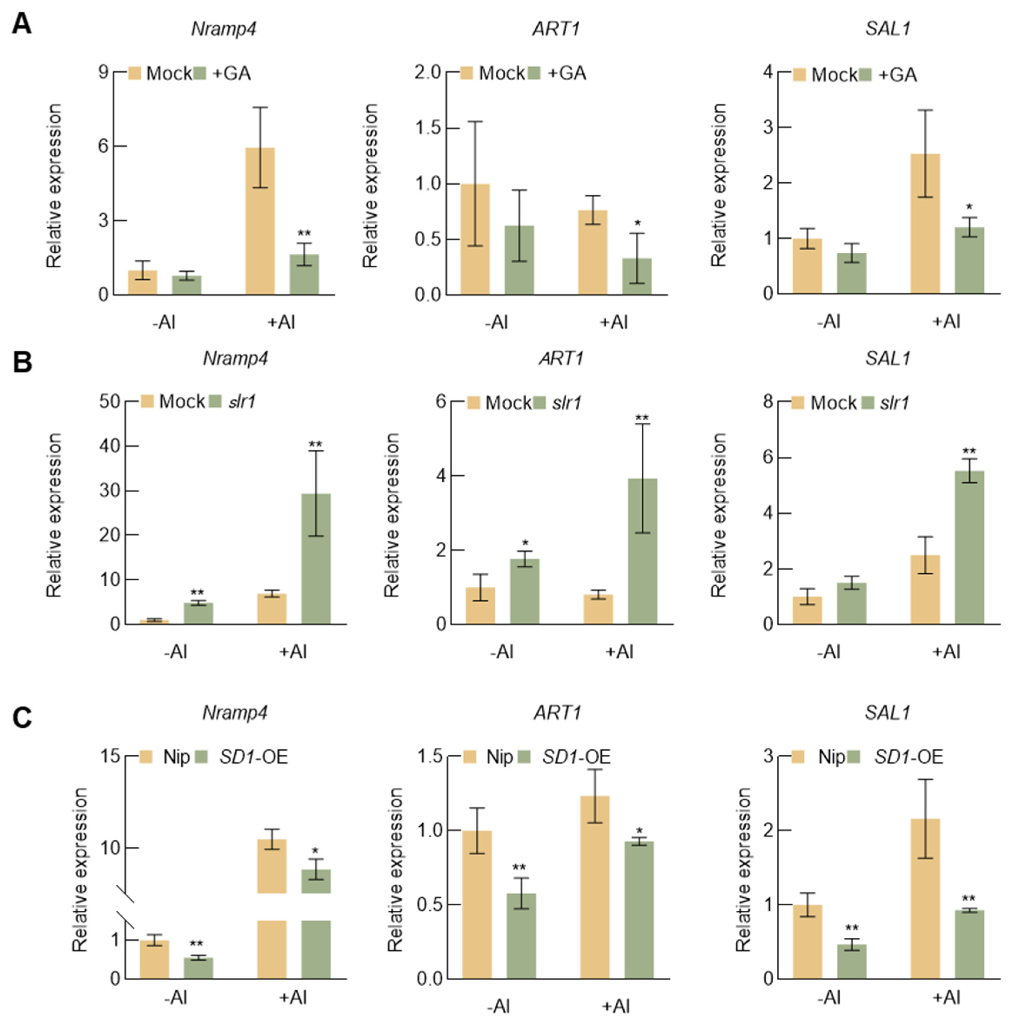 Plants 13 00543 g006