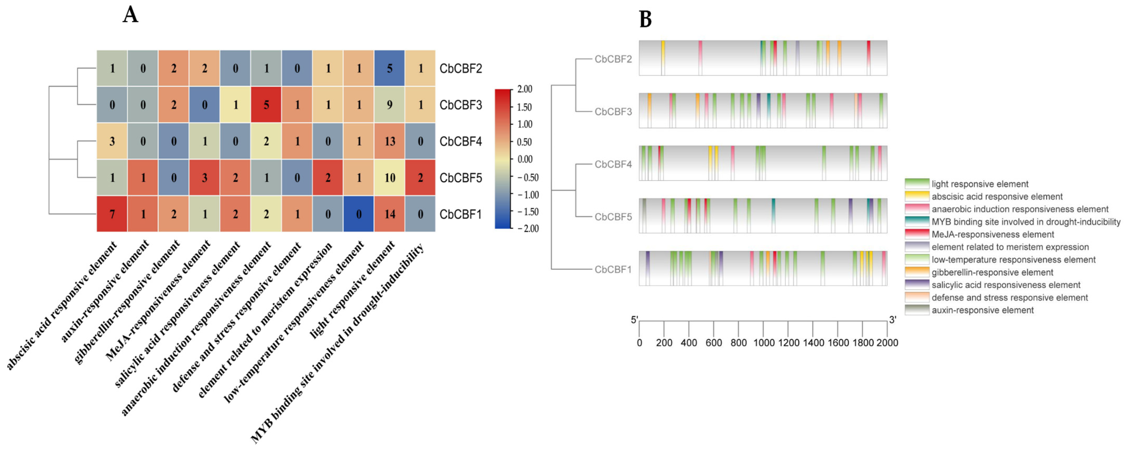 Plants 13 00549 g003
