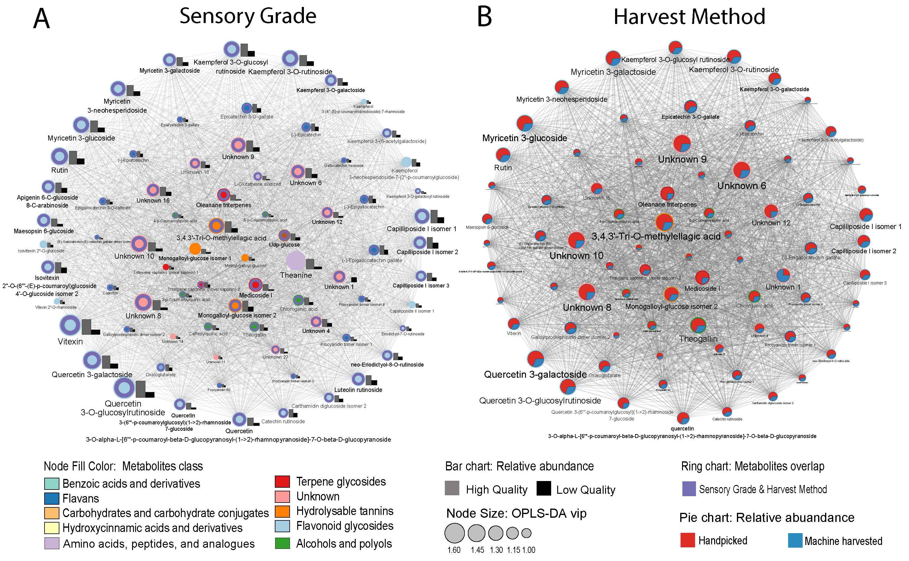 Plants 13 00552 g004