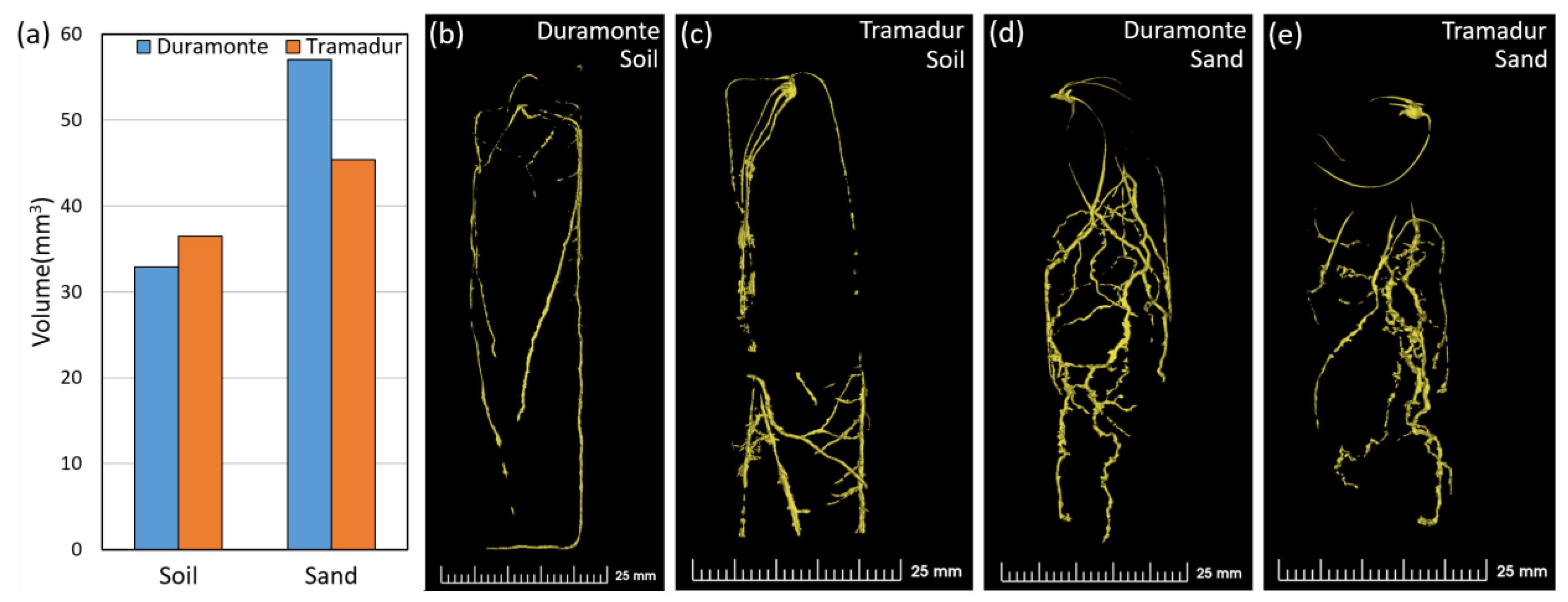 Plants 13 00554 g004 Plants 13 00554 g004