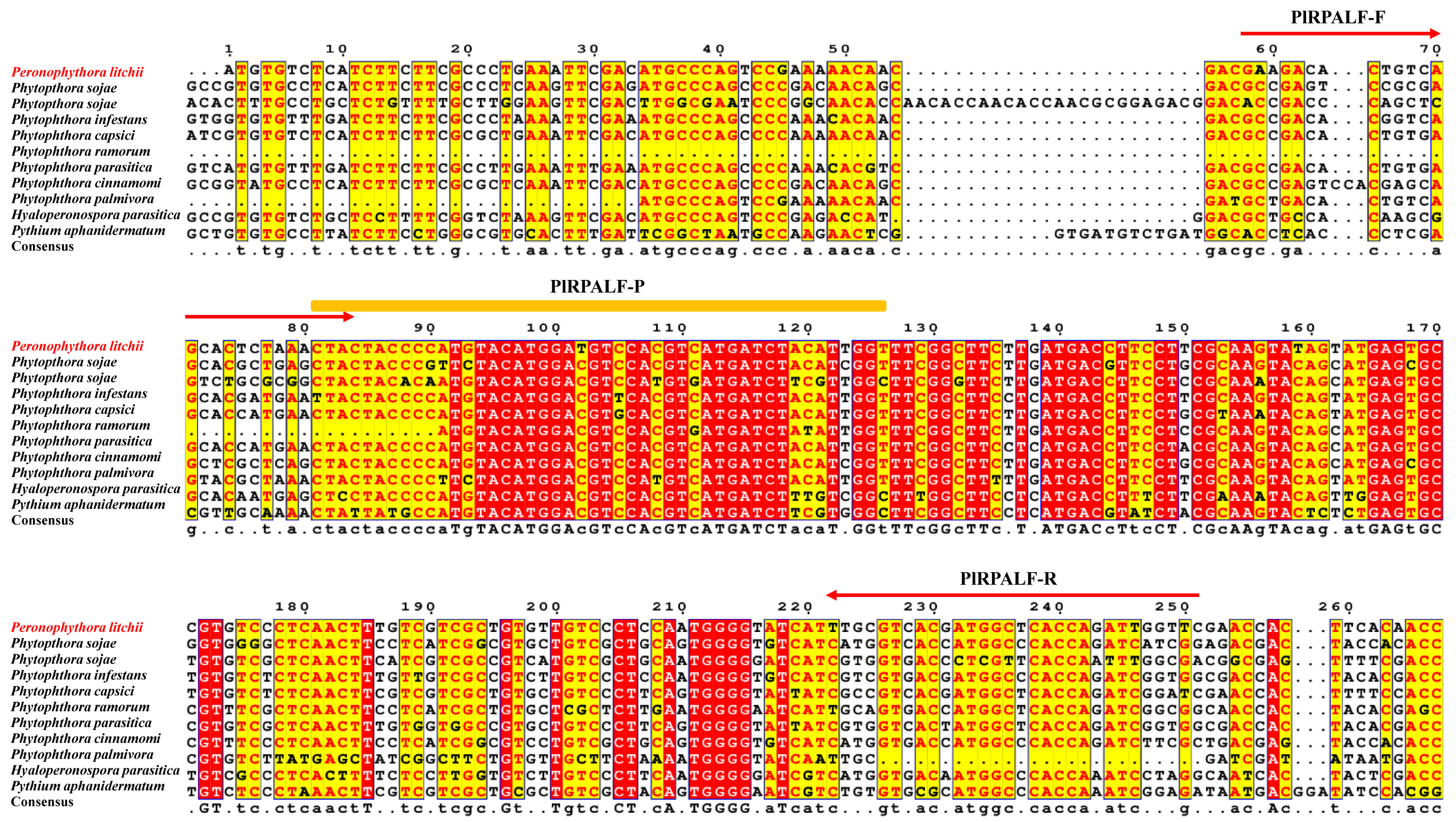 Plants 13 00555 g002