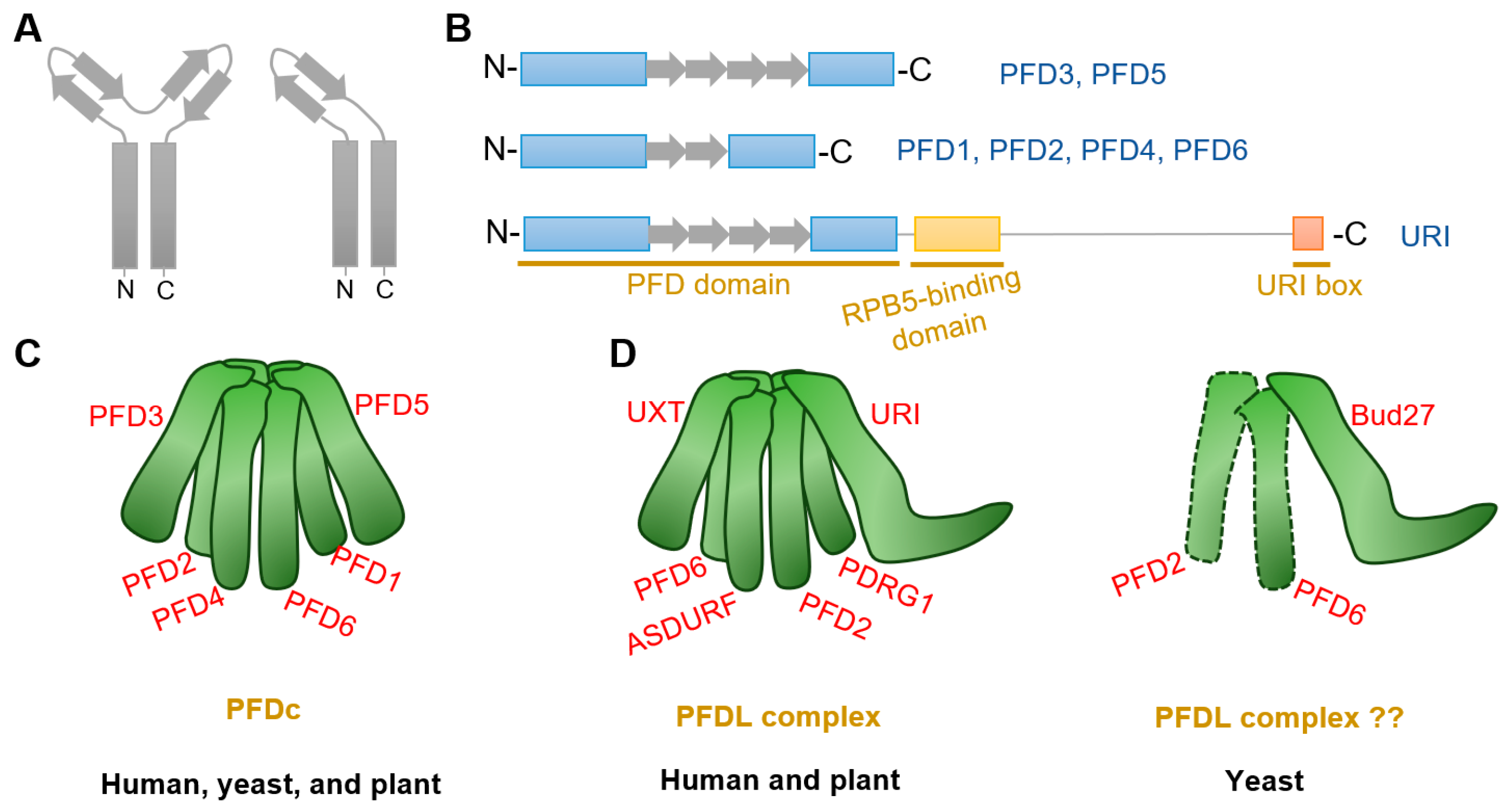 Plants 13 00556 g001