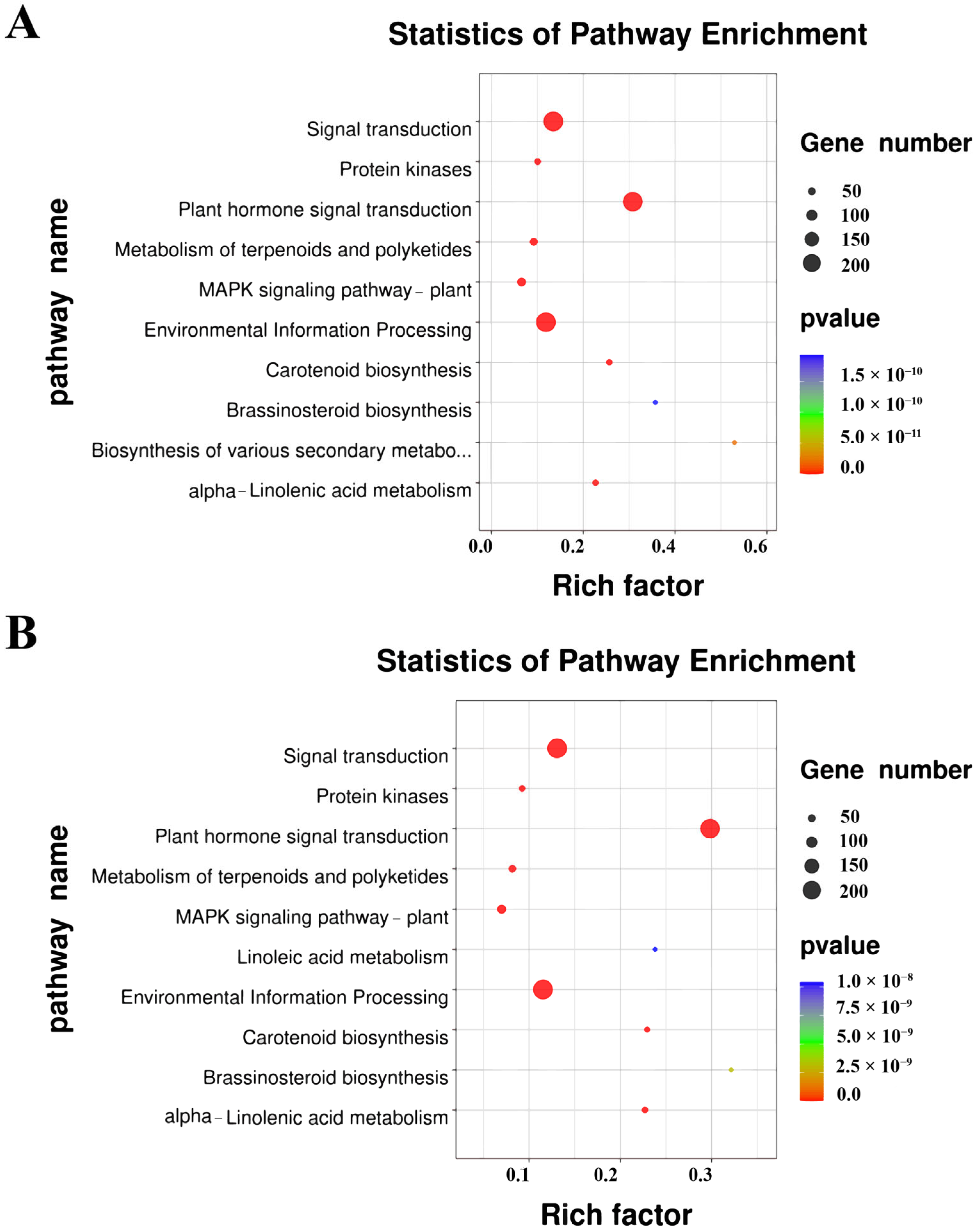 Plants 13 00557 g002
