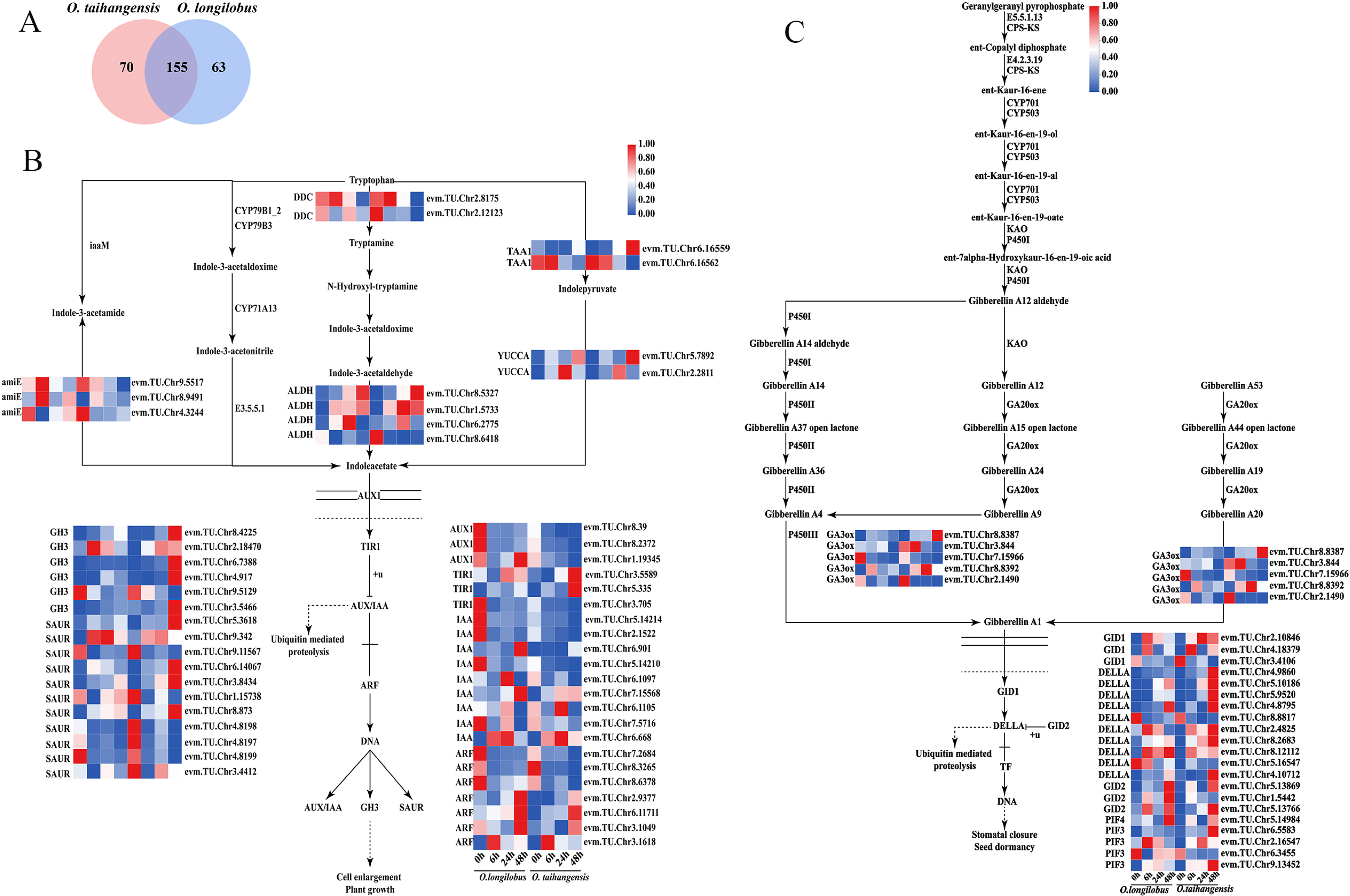 Plants 13 00557 g003a