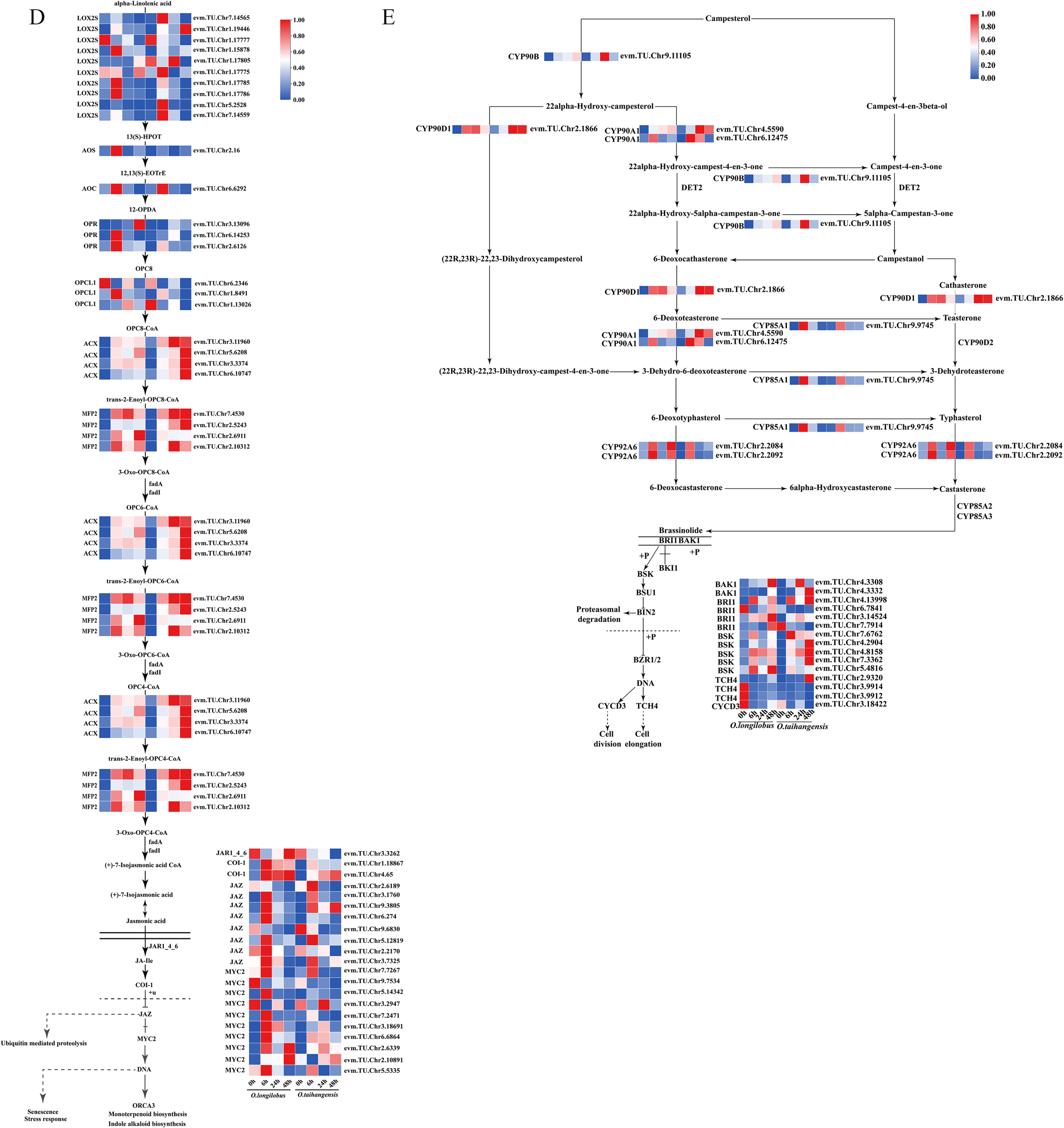Plants 13 00557 g003b