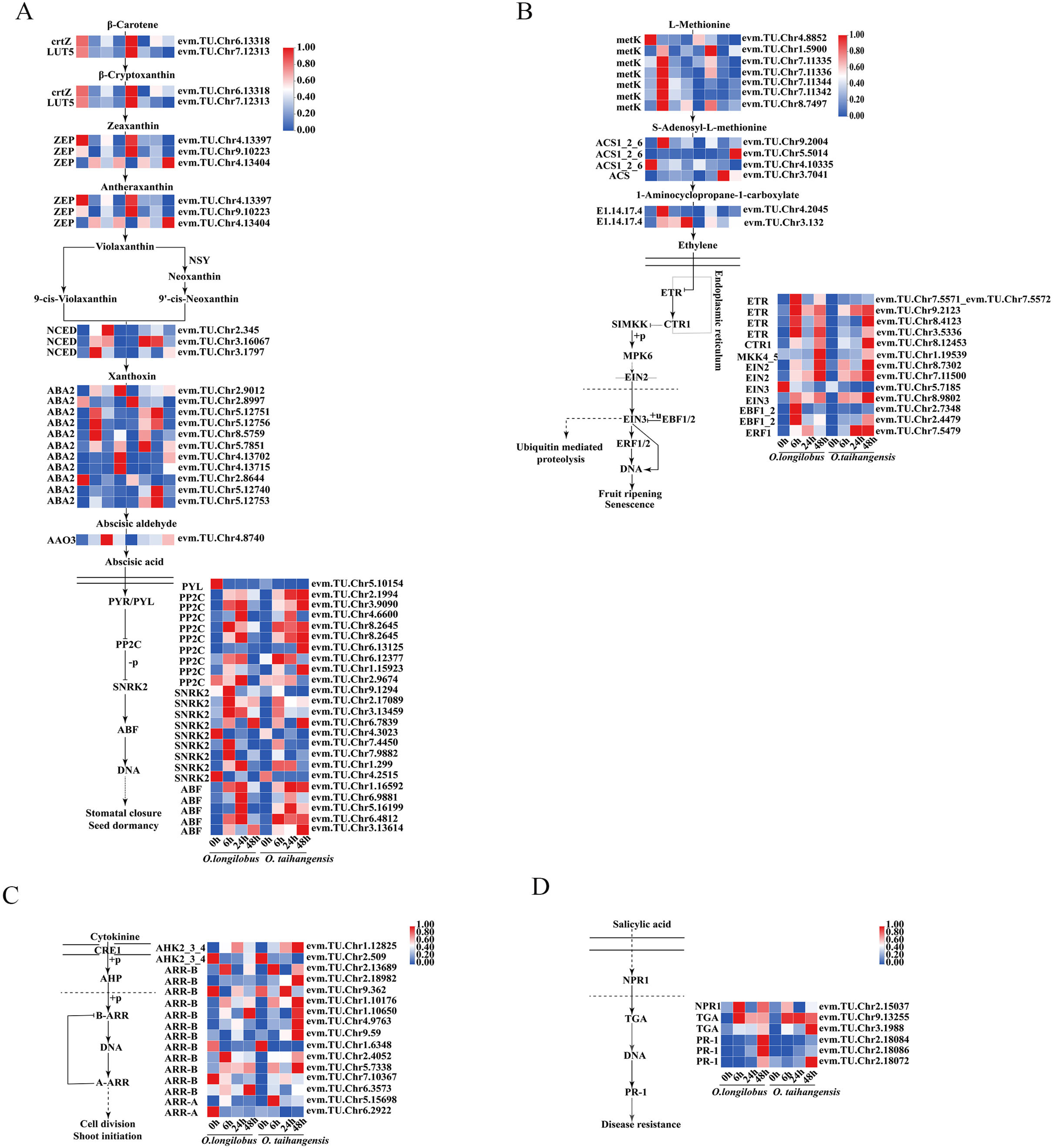 Plants 13 00557 g004