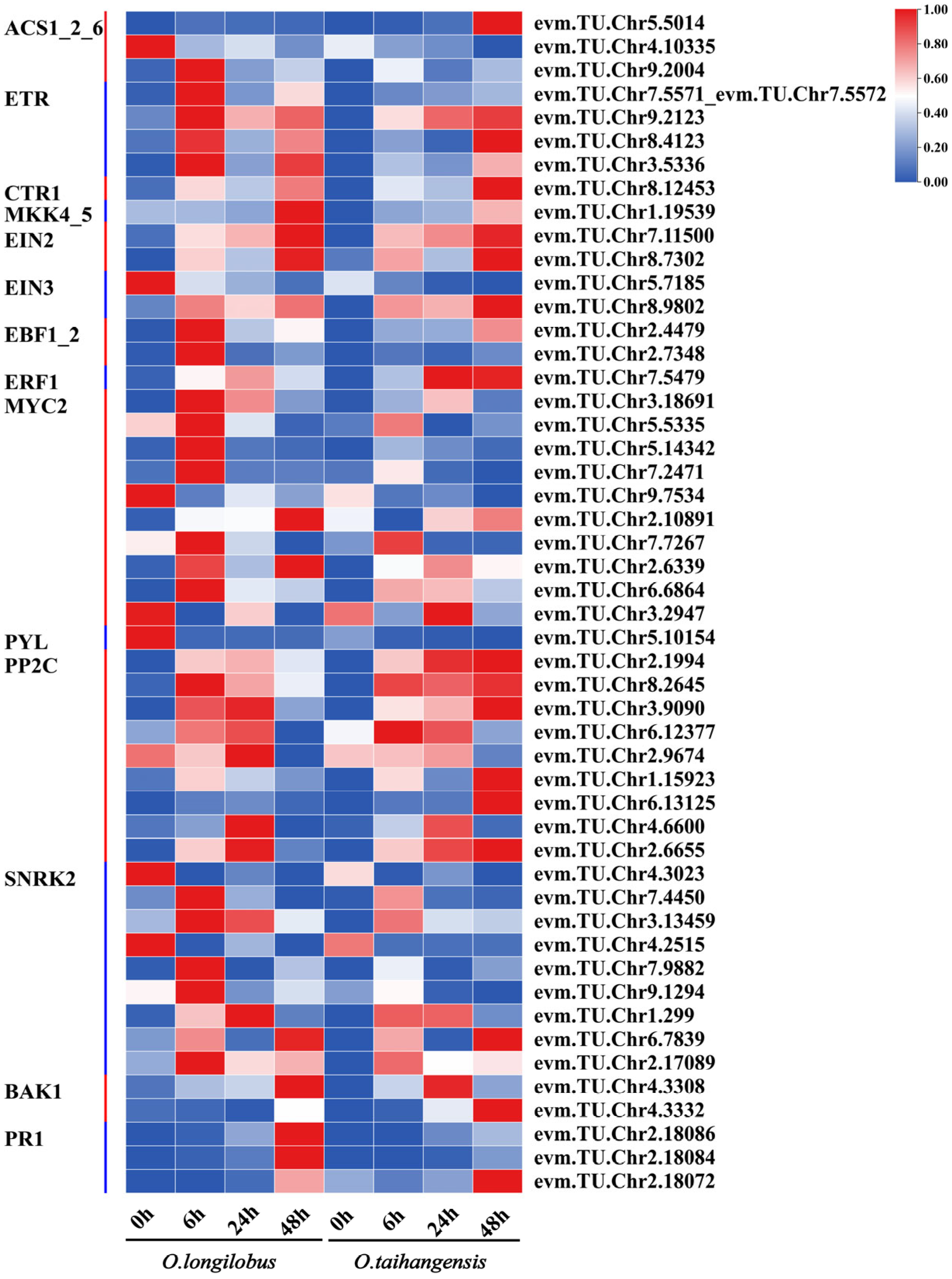 Plants 13 00557 g005