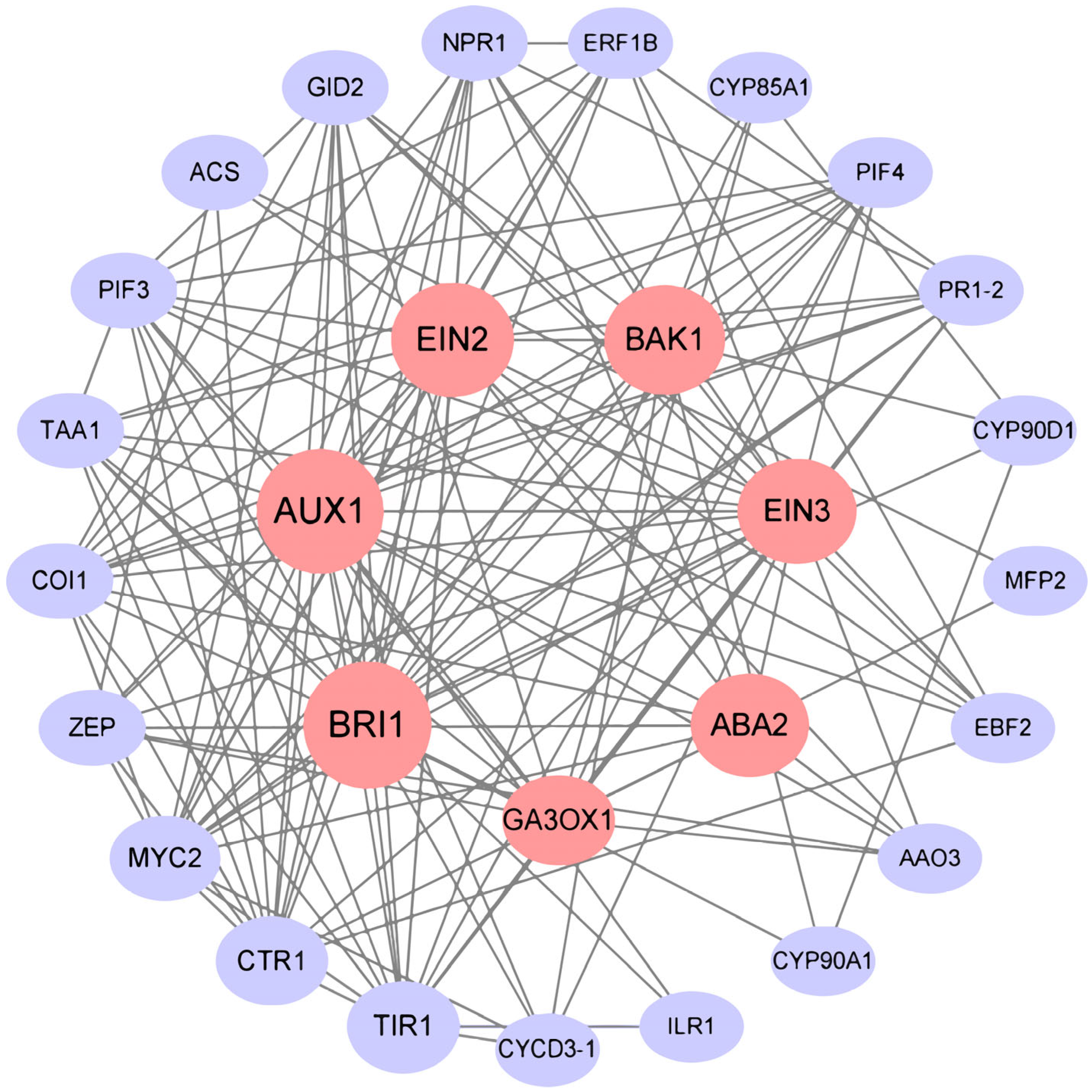 Plants 13 00557 g006