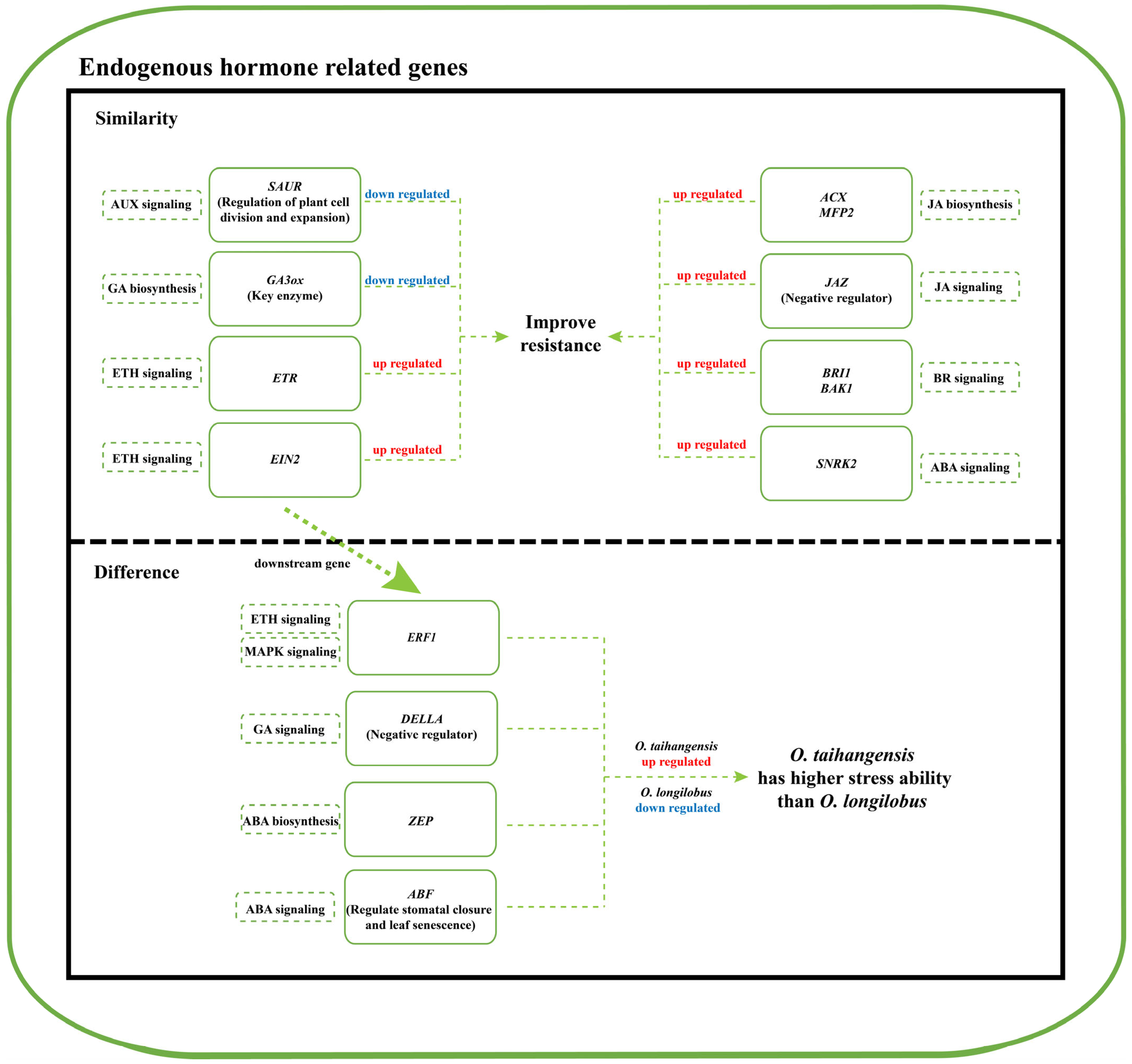 Plants 13 00557 g008