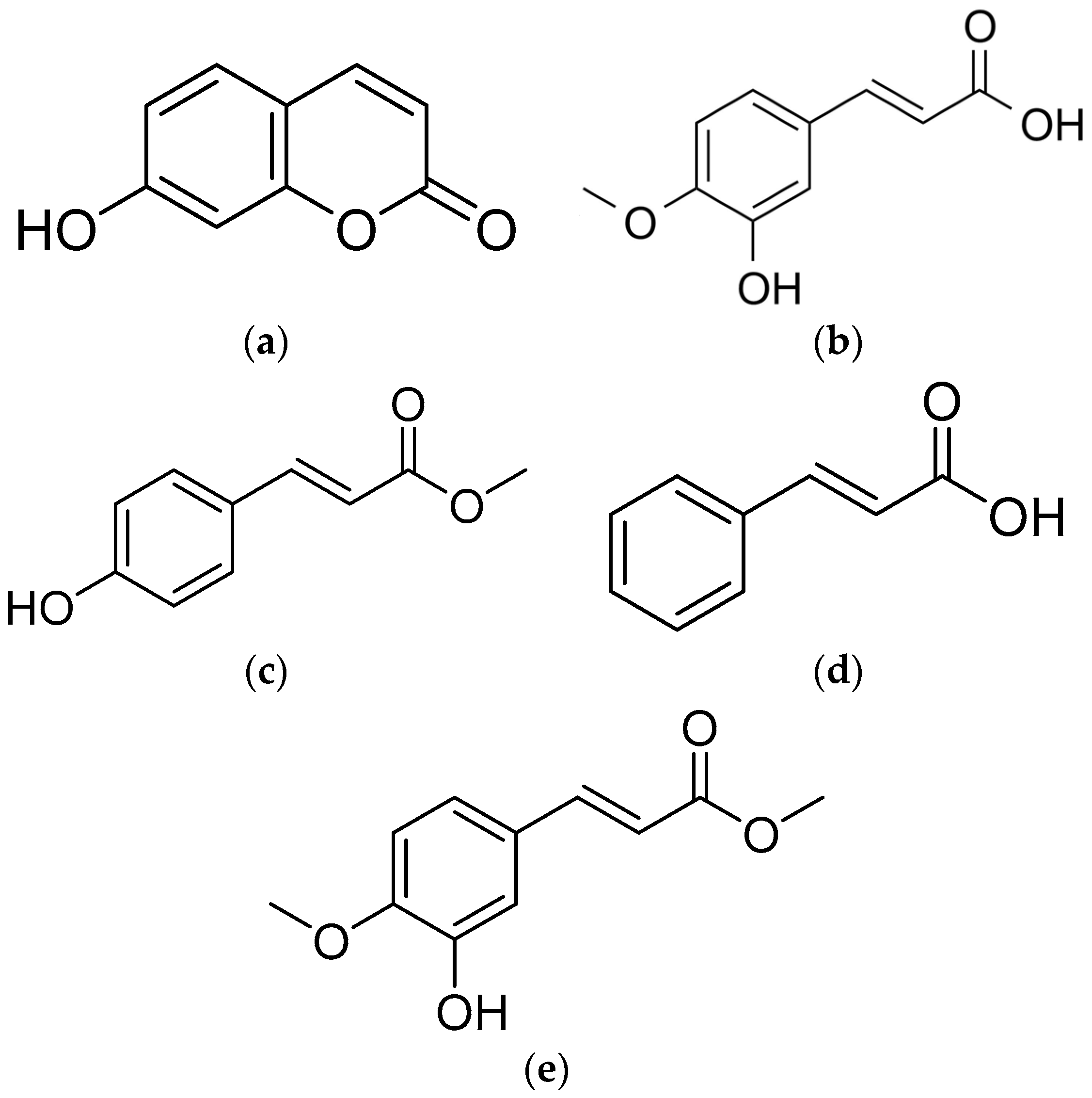Plants 13 00559 g004