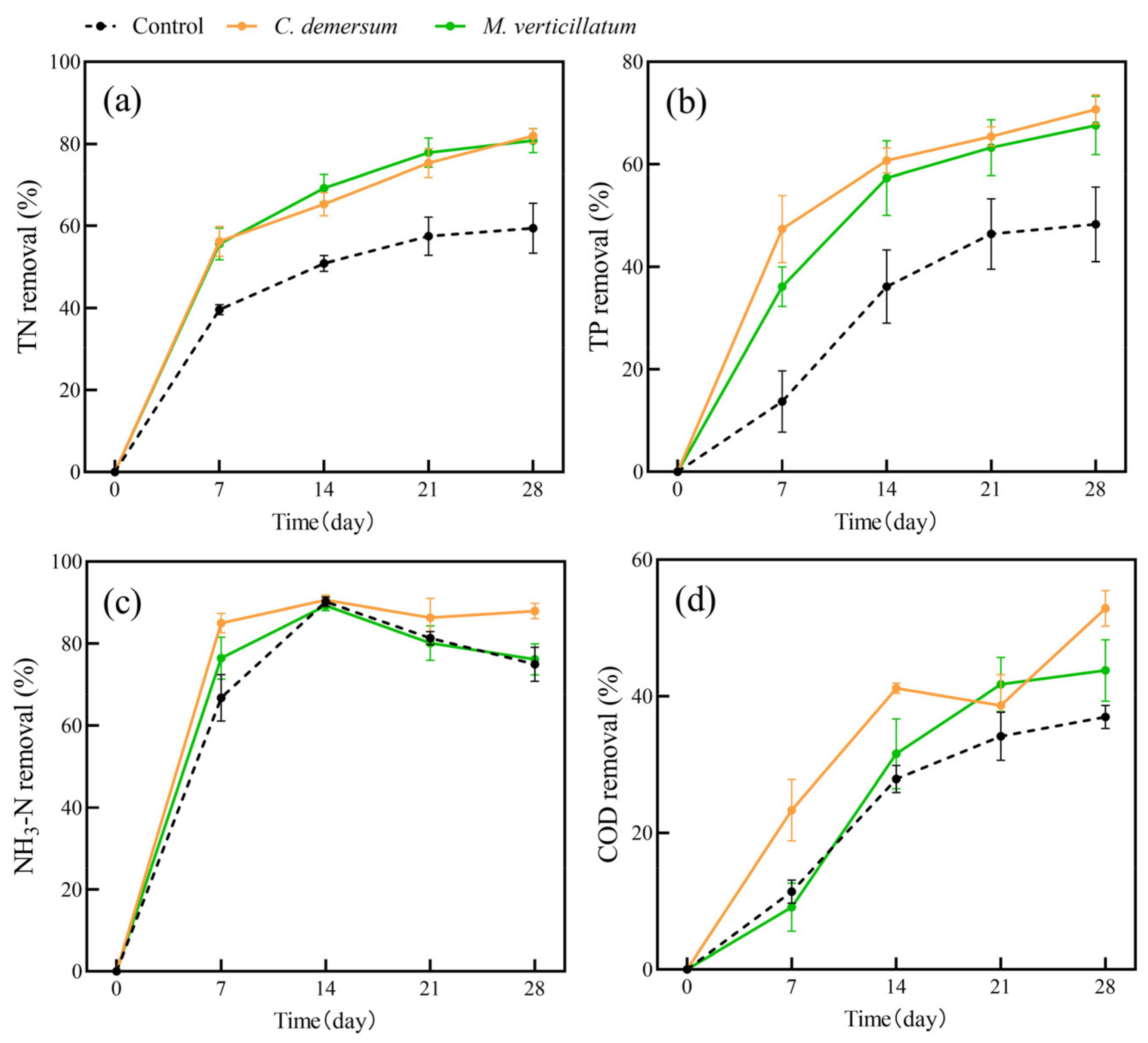 Plants 13 00560 g001