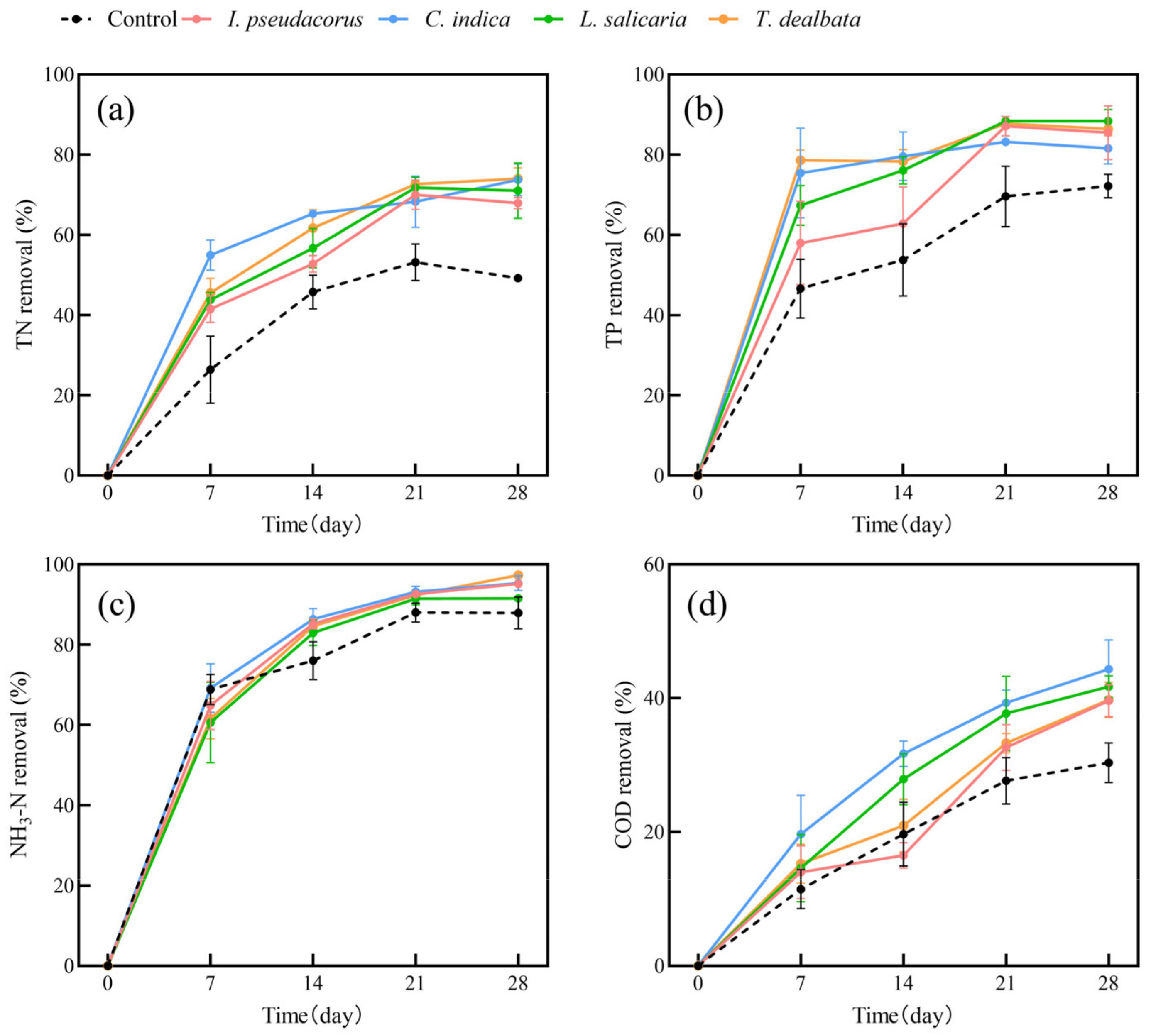 Plants 13 00560 g002