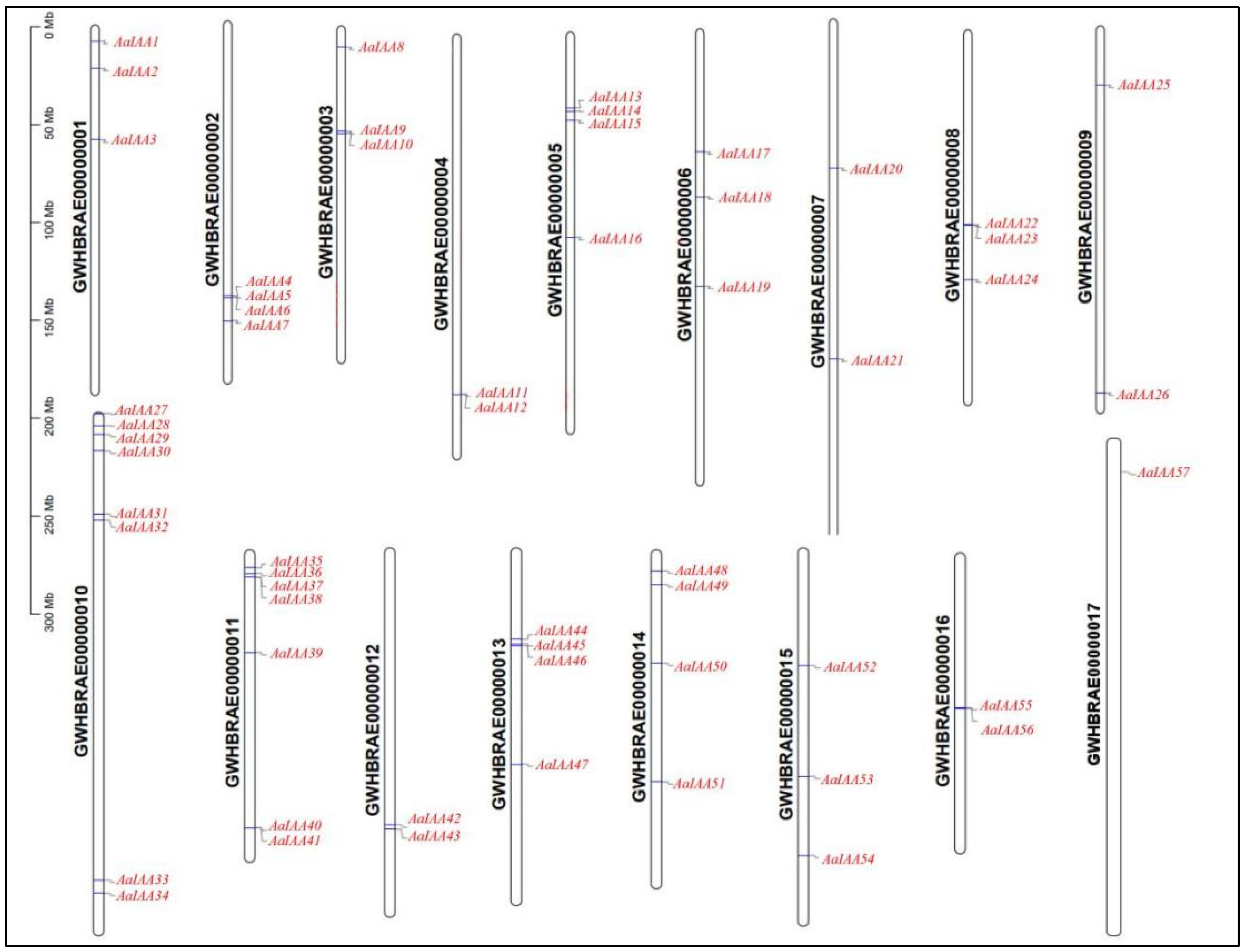 Plants 13 00564 g001