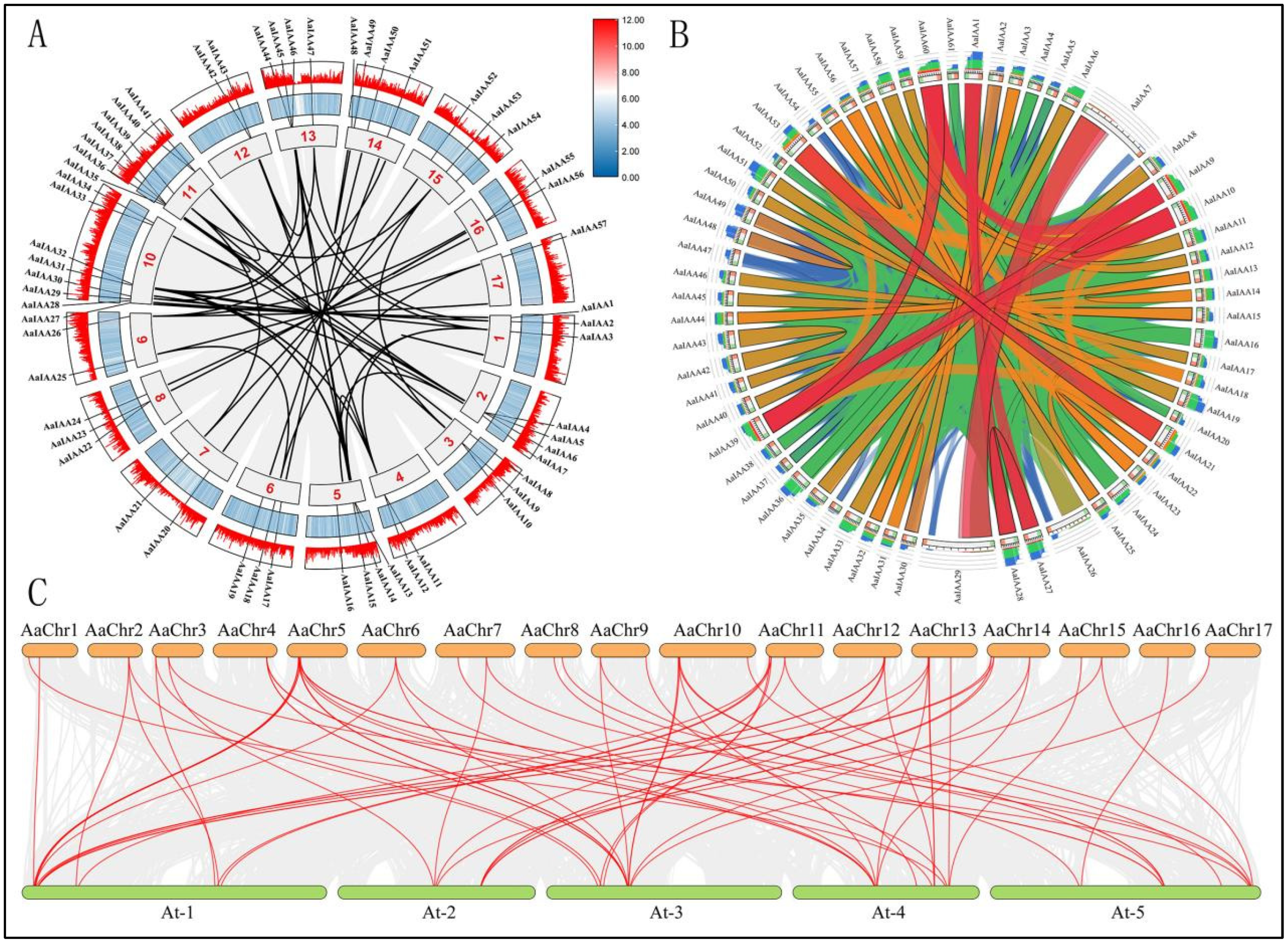 Plants 13 00564 g002