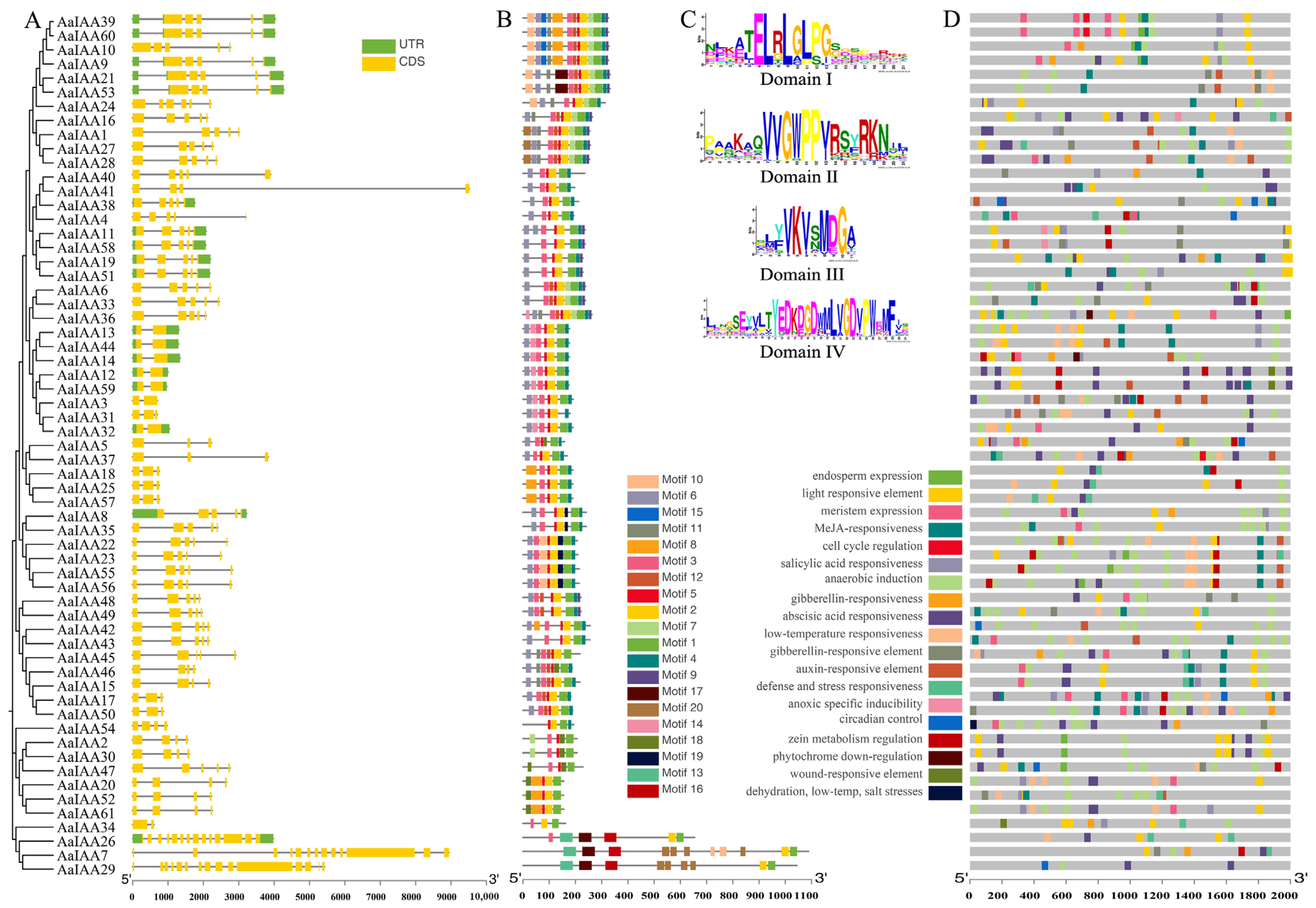 Plants 13 00564 g003