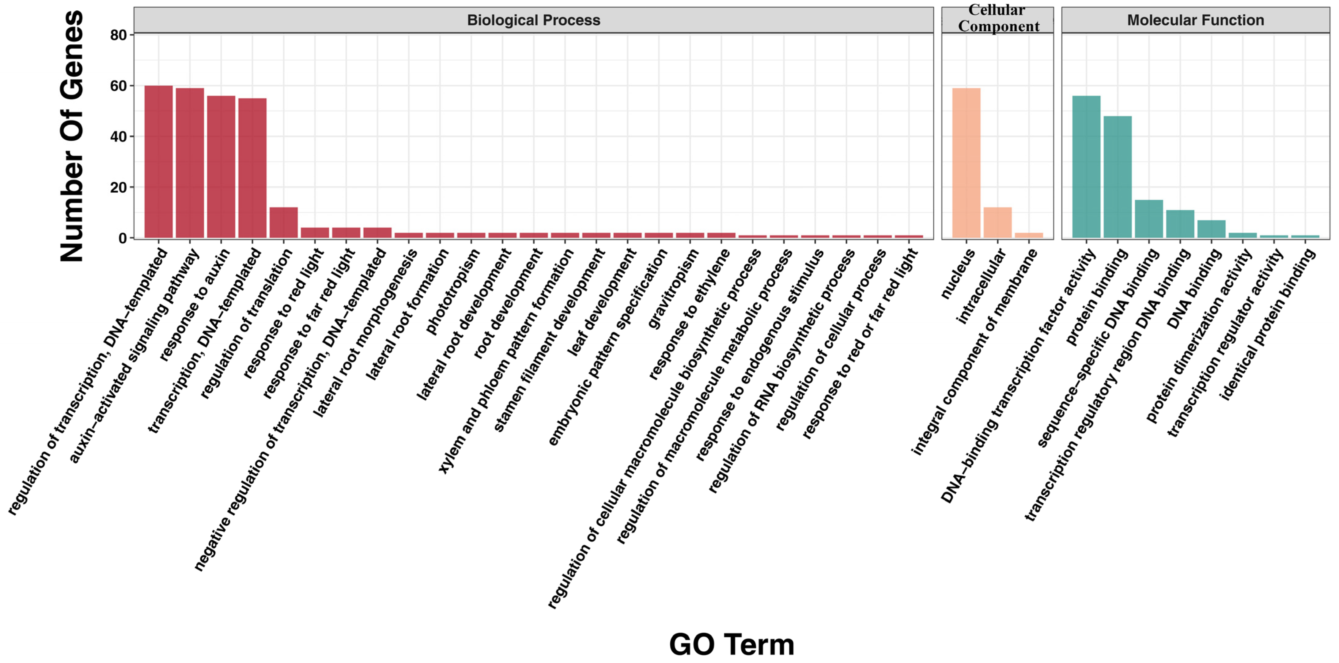 Plants 13 00564 g004