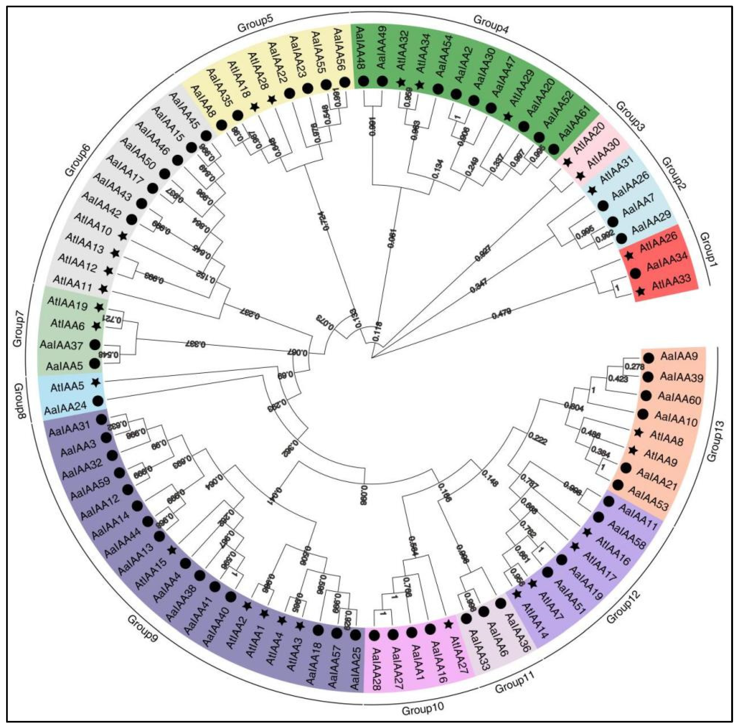 Plants 13 00564 g005