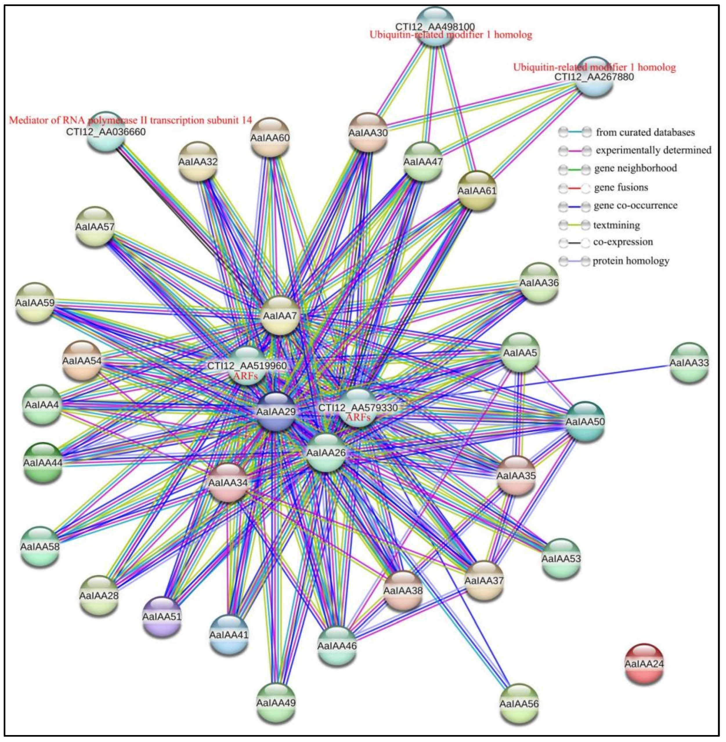 Plants 13 00564 g006