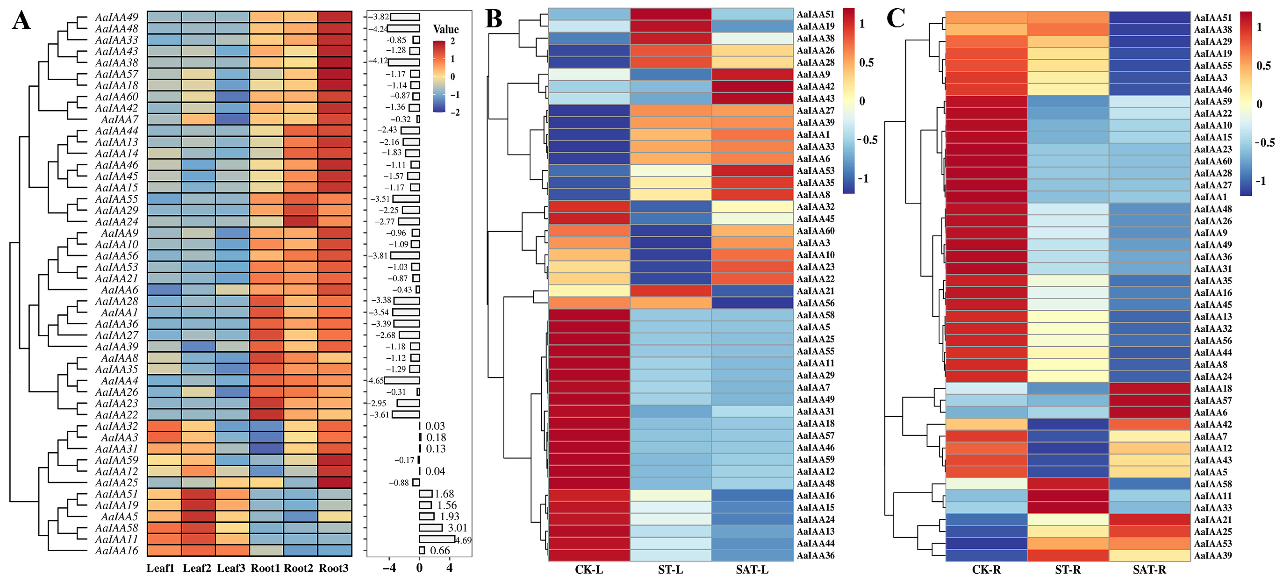 Plants 13 00564 g007