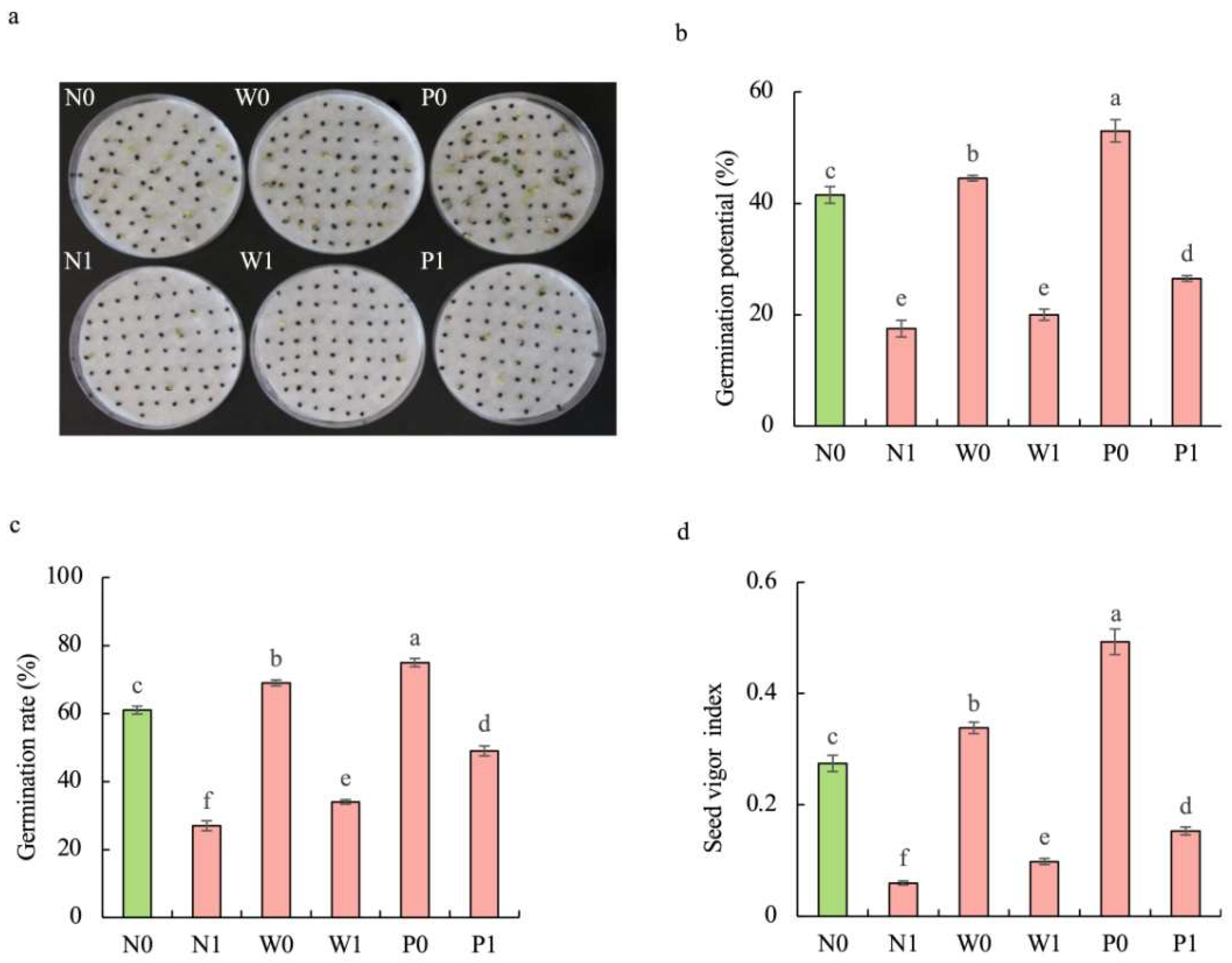 Plants 13 00565 g001