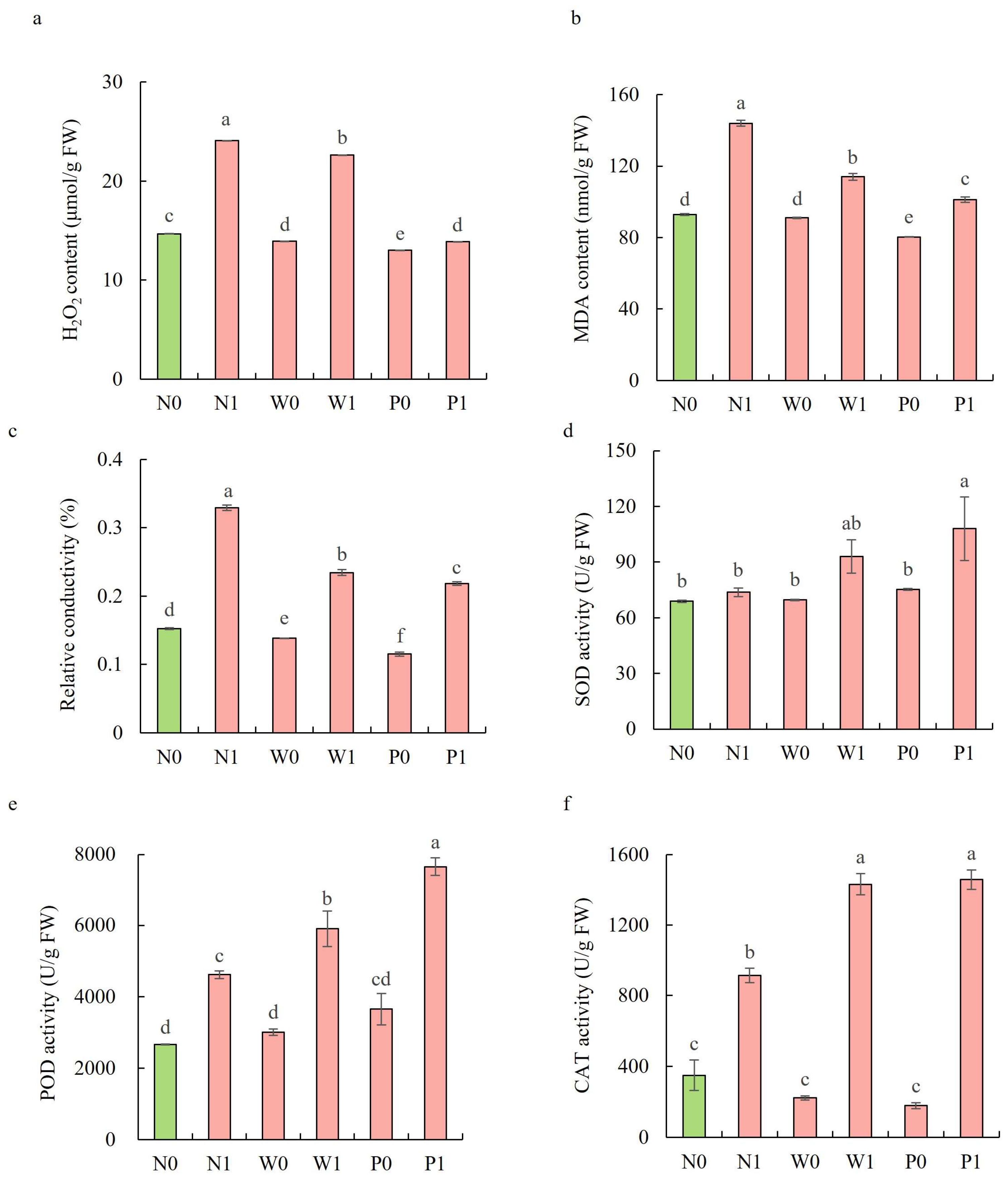 Plants 13 00565 g004