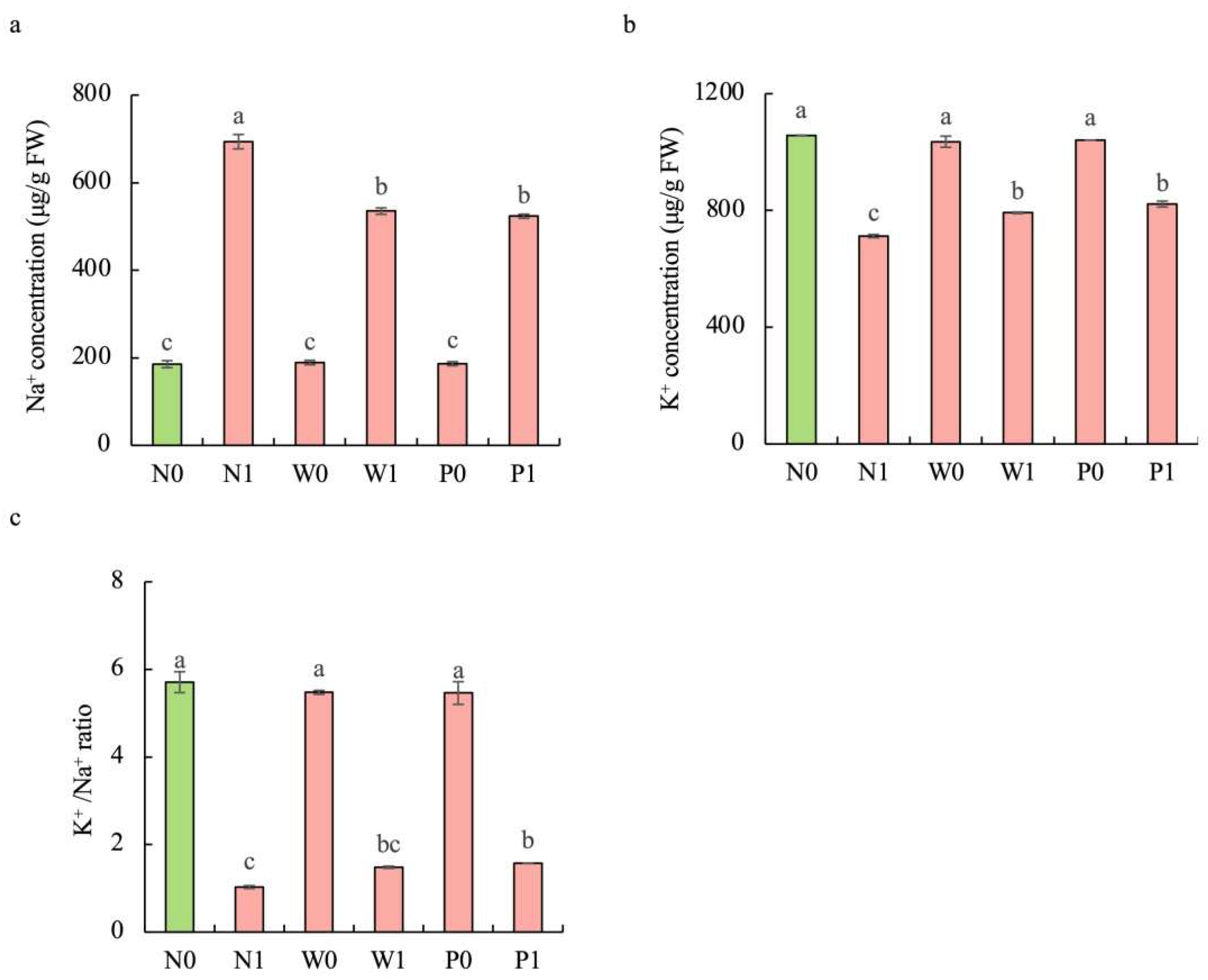 Plants 13 00565 g006