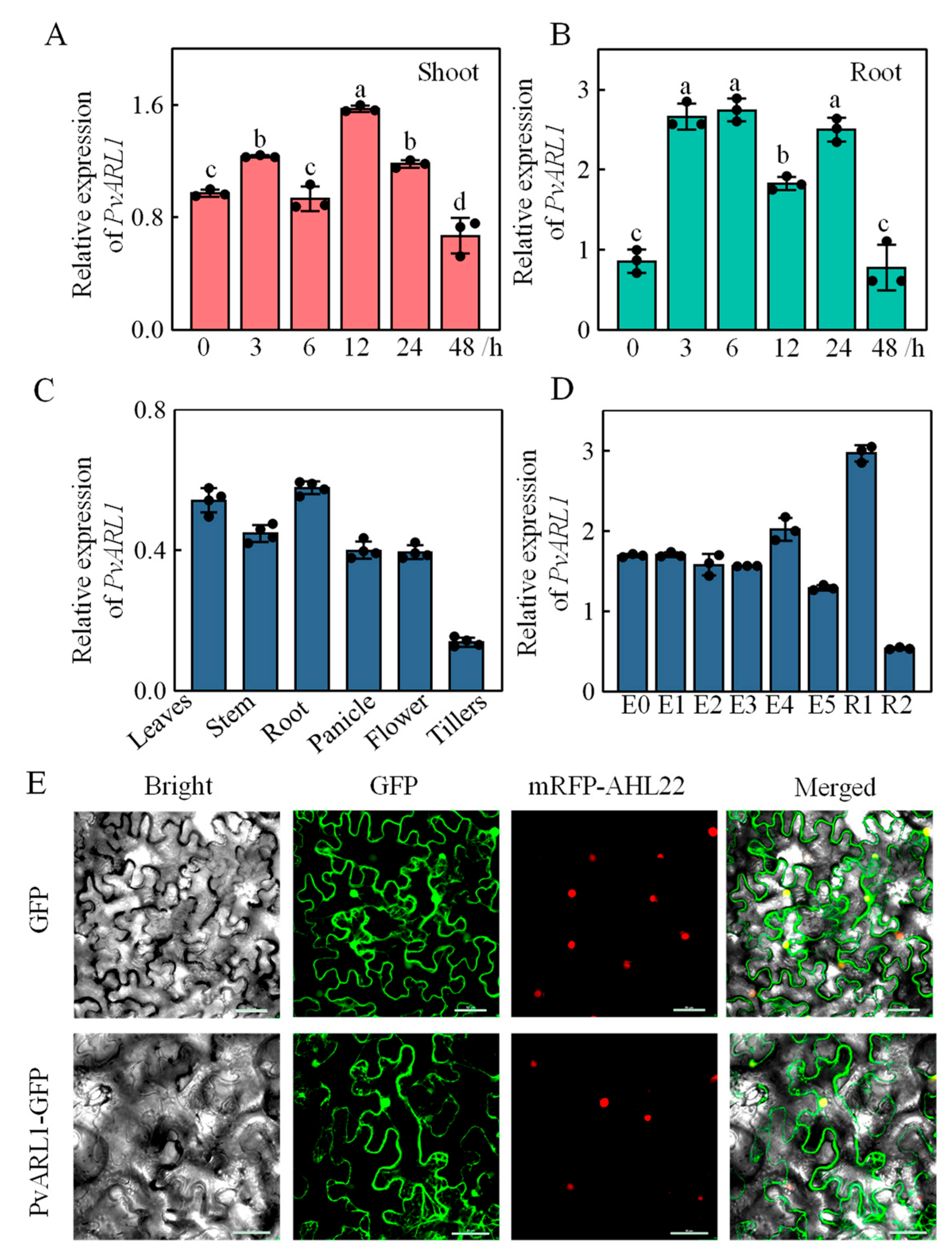 Plants 13 00566 g001