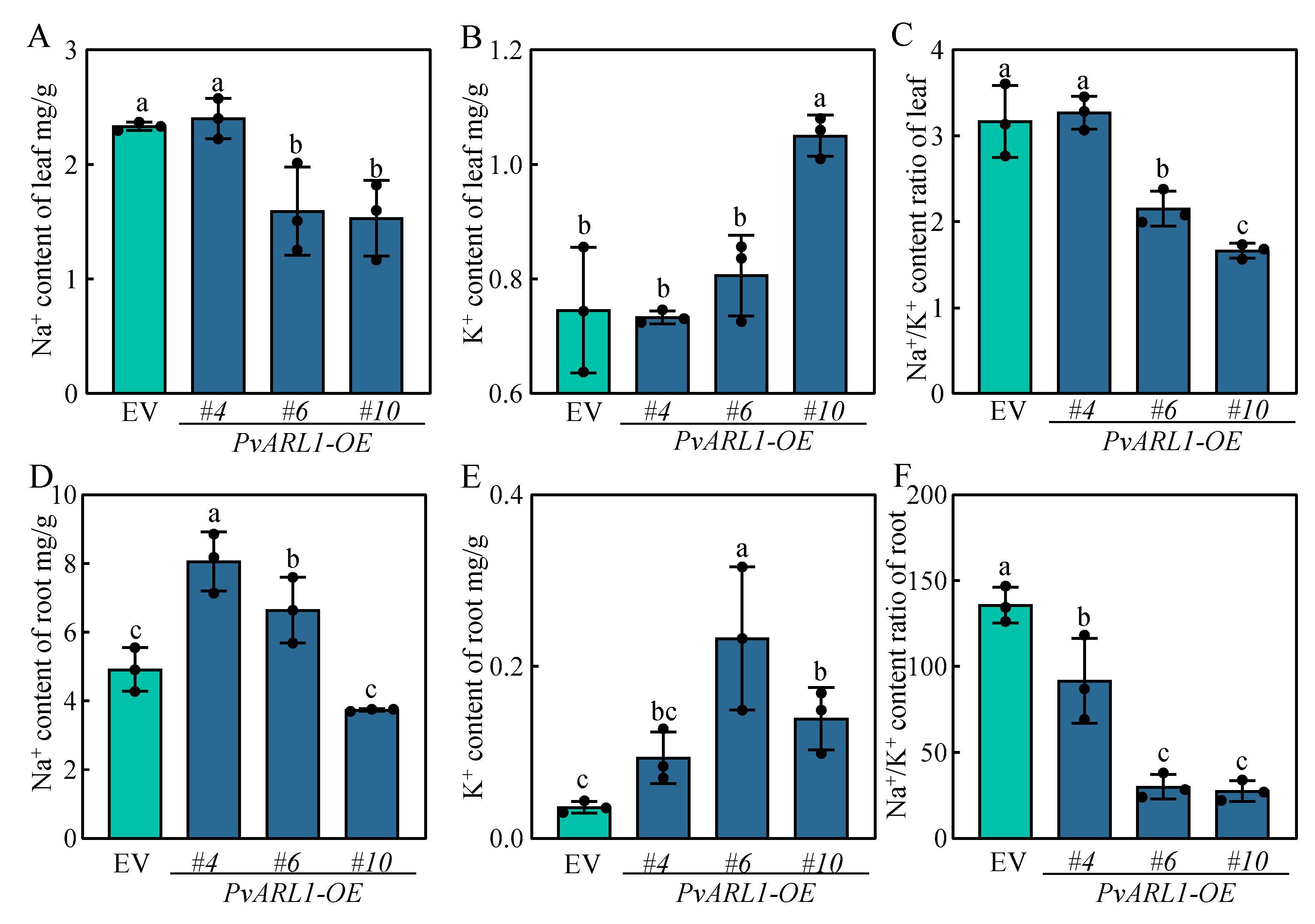 Plants 13 00566 g005
