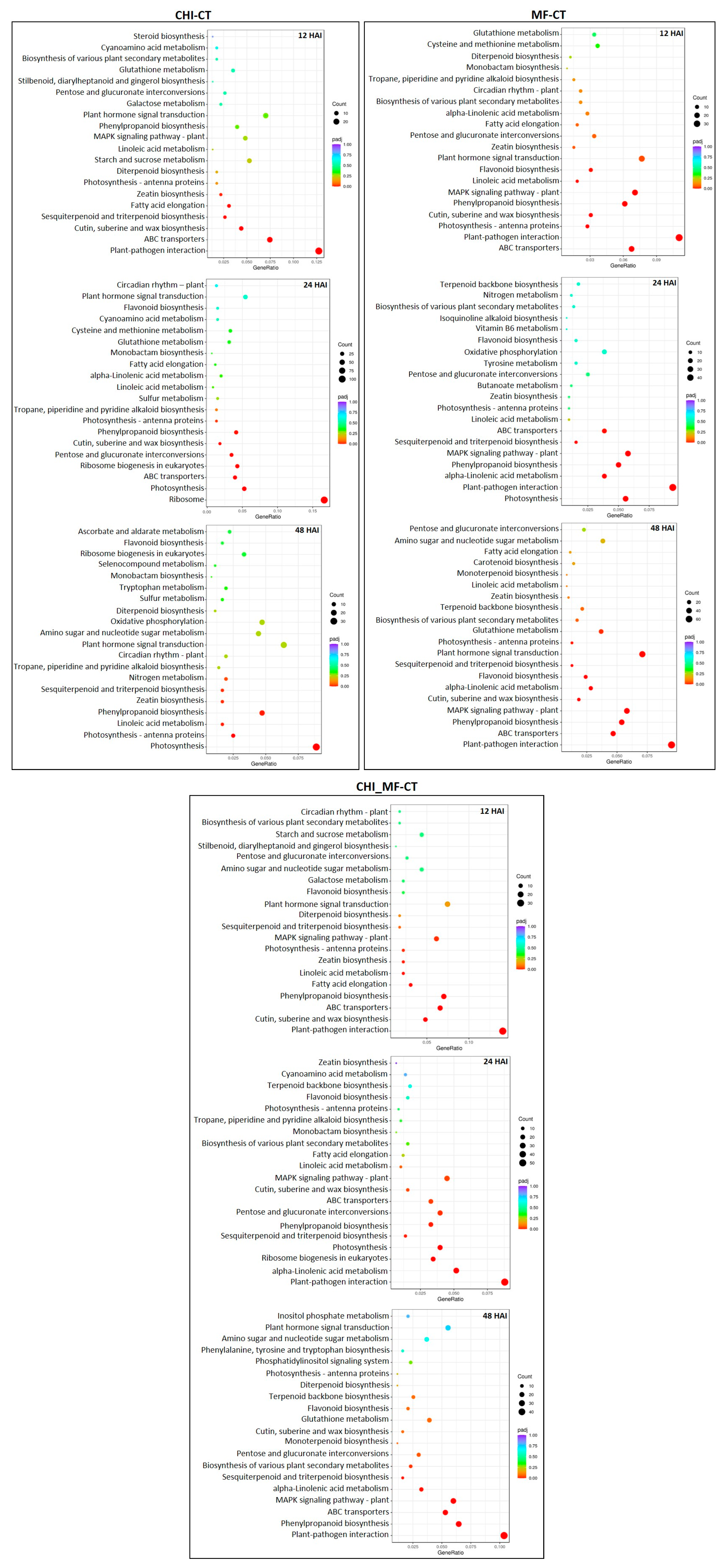 Plants 13 00567 g004