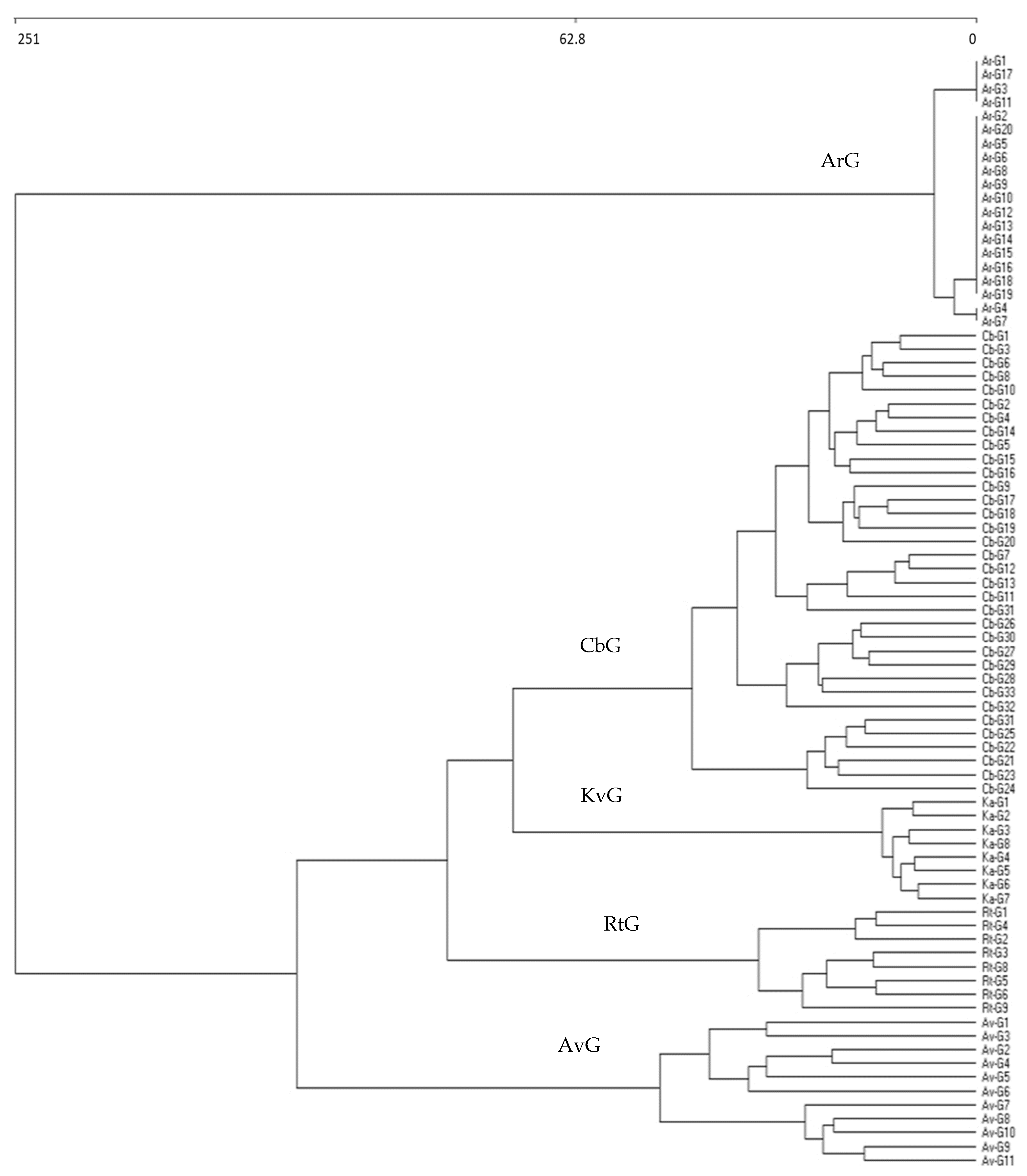 Plants 13 00568 g001