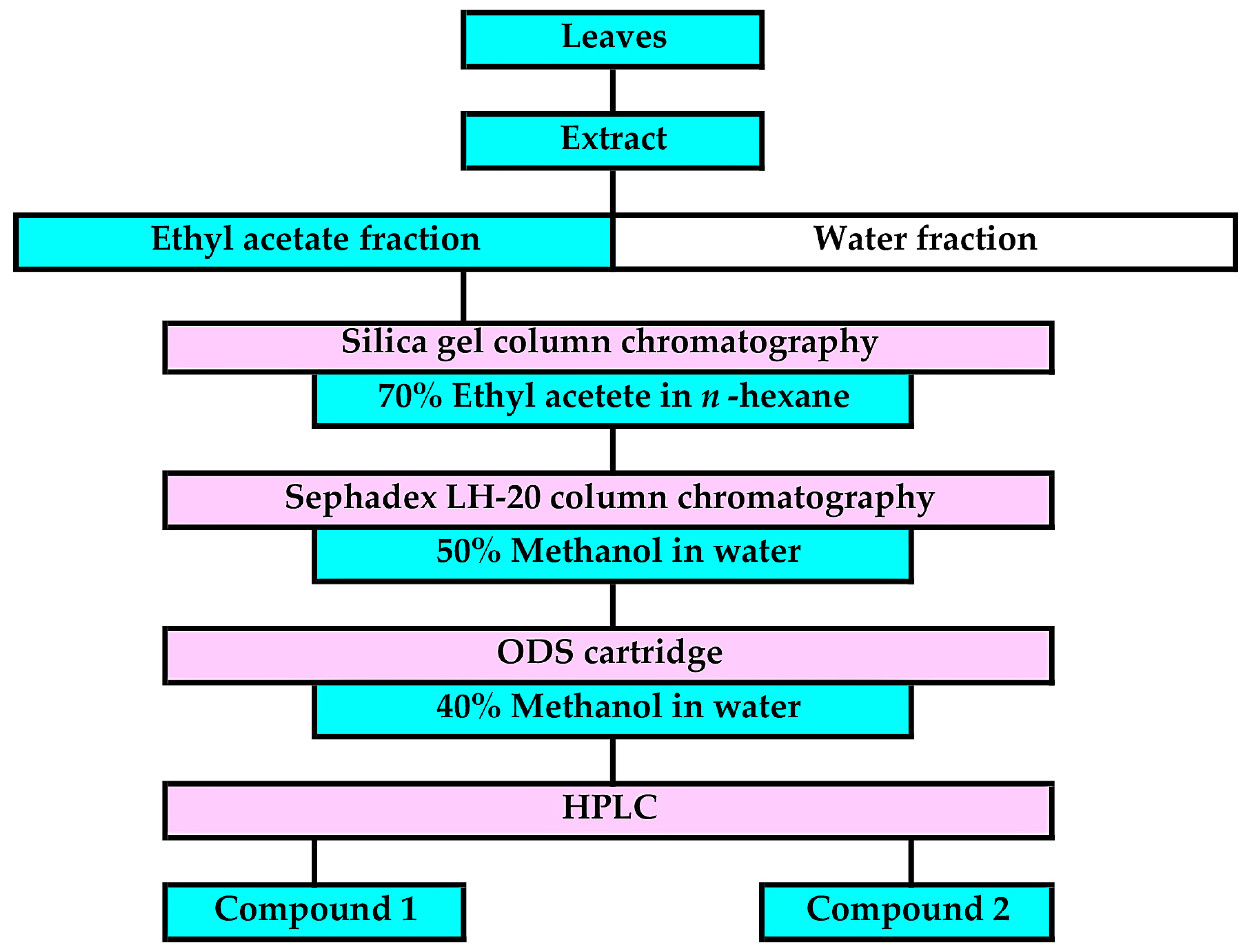 Plants 13 00575 g005