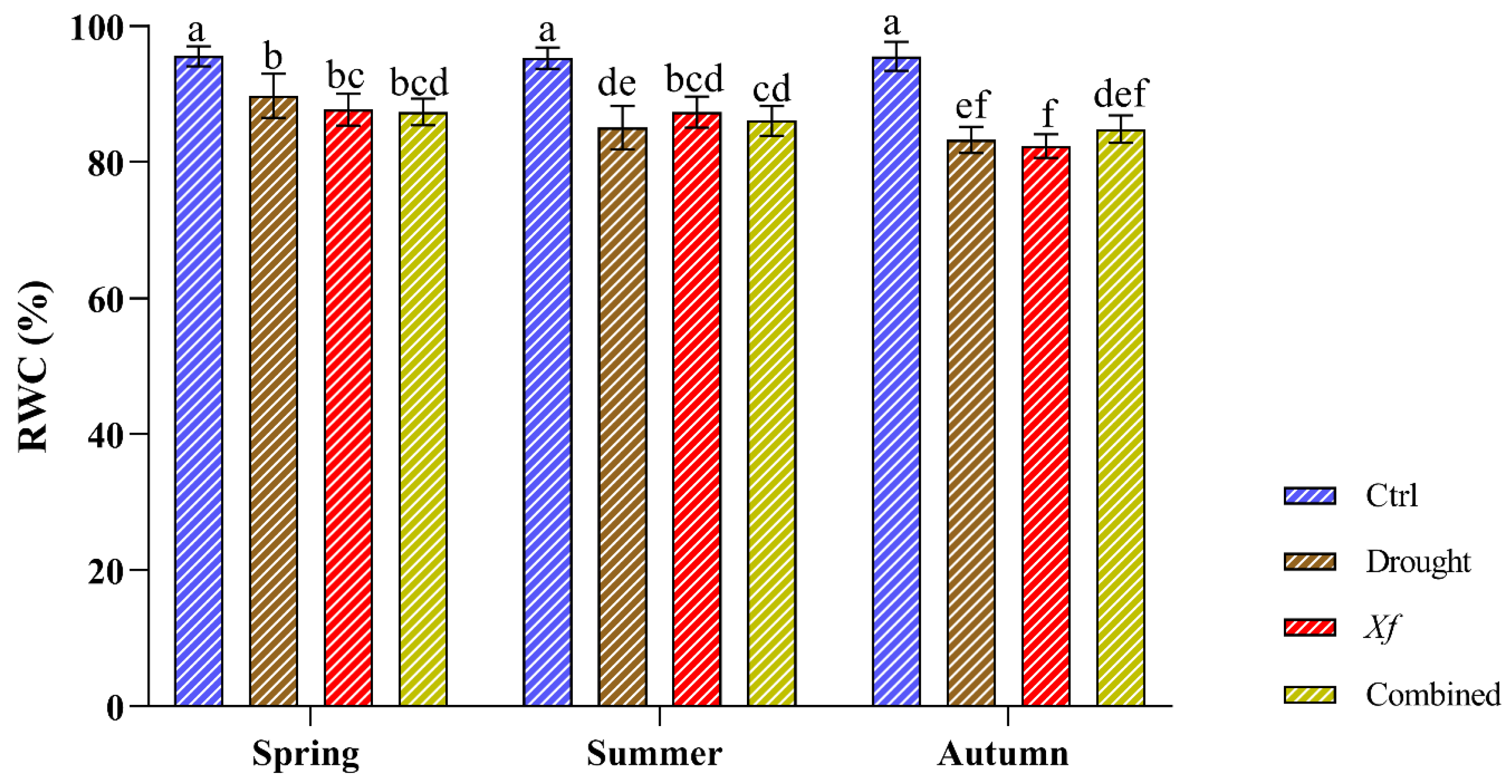 Plants 13 00576 g002