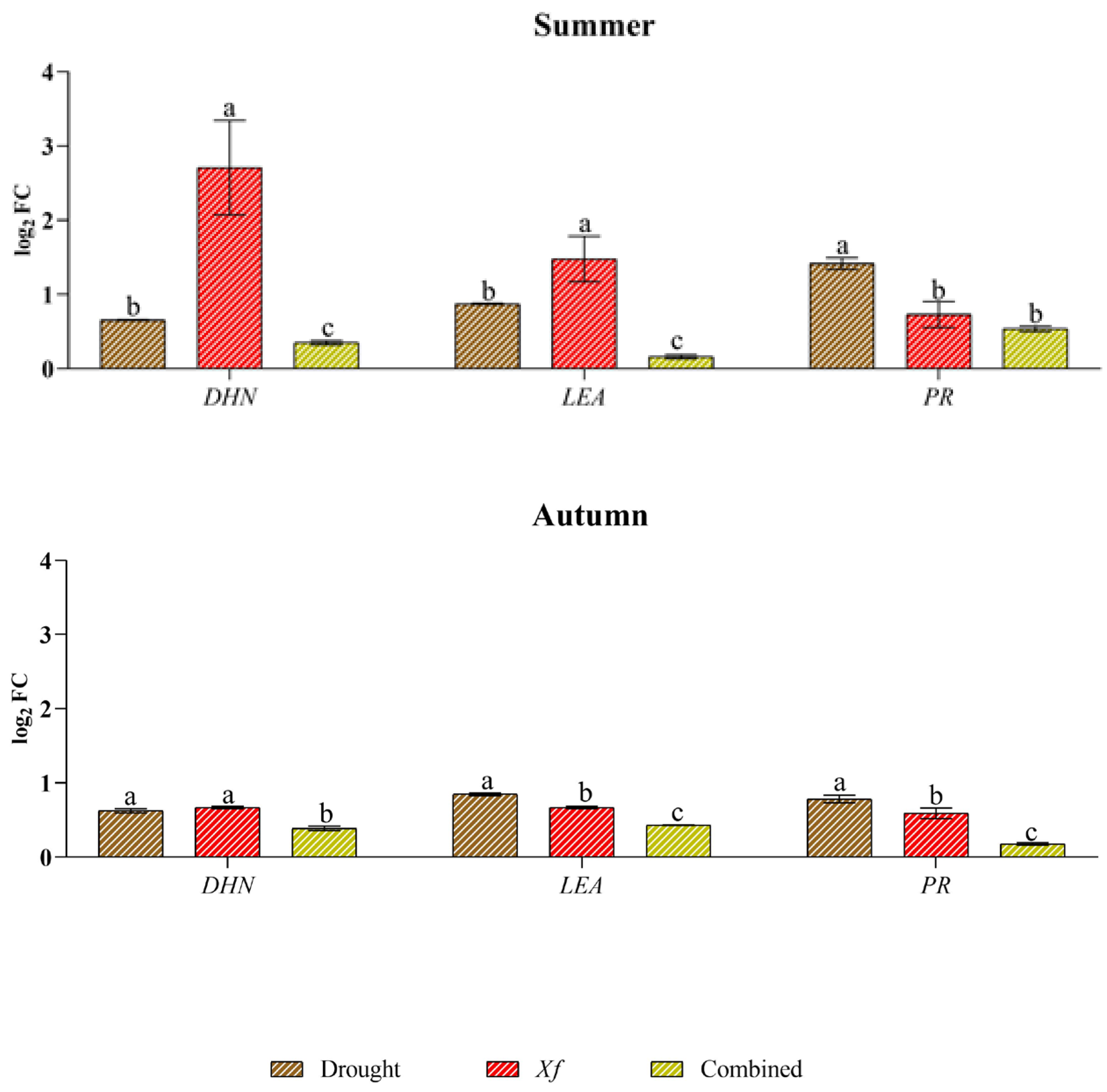 Plants 13 00576 g004b