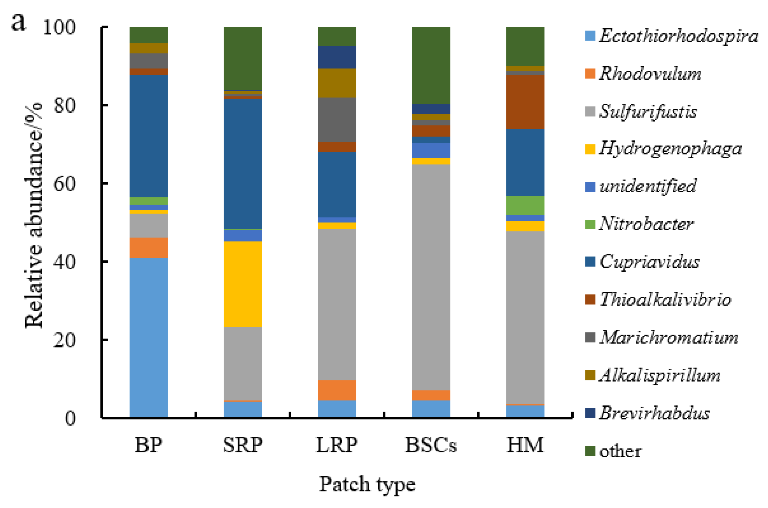 Plants 13 00579 g007a