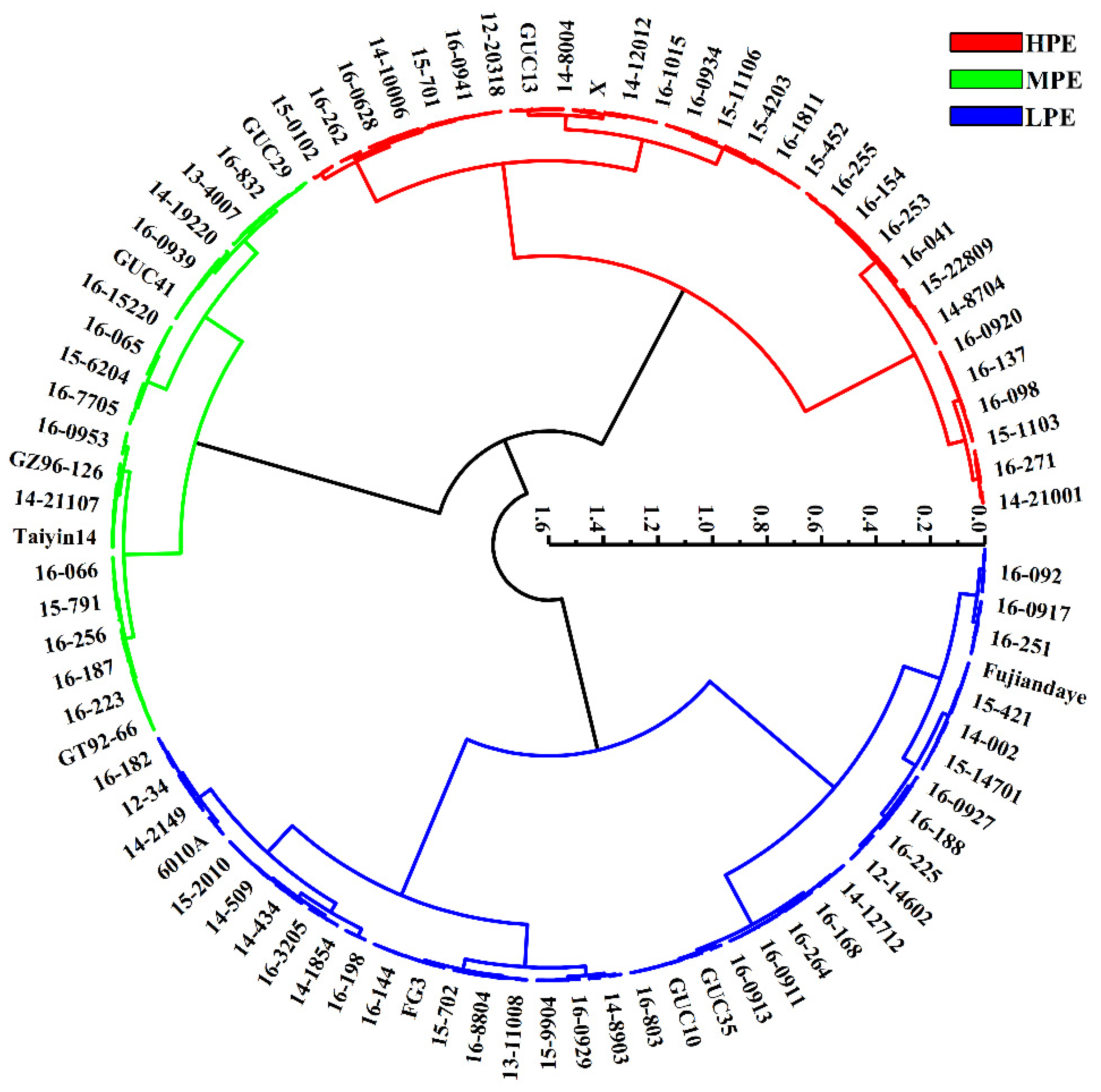 Plants 13 00587 g002