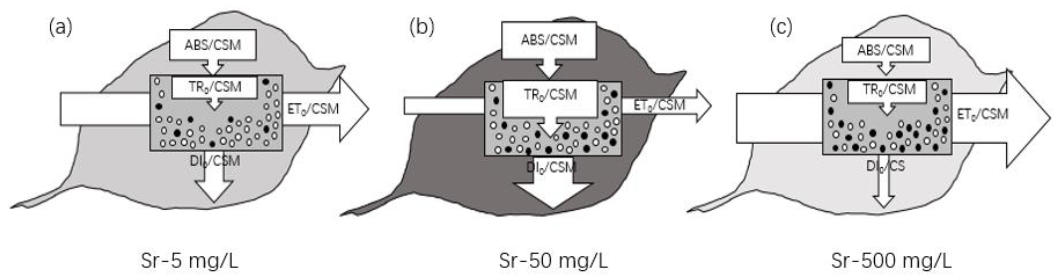 Plants 13 00591 g006