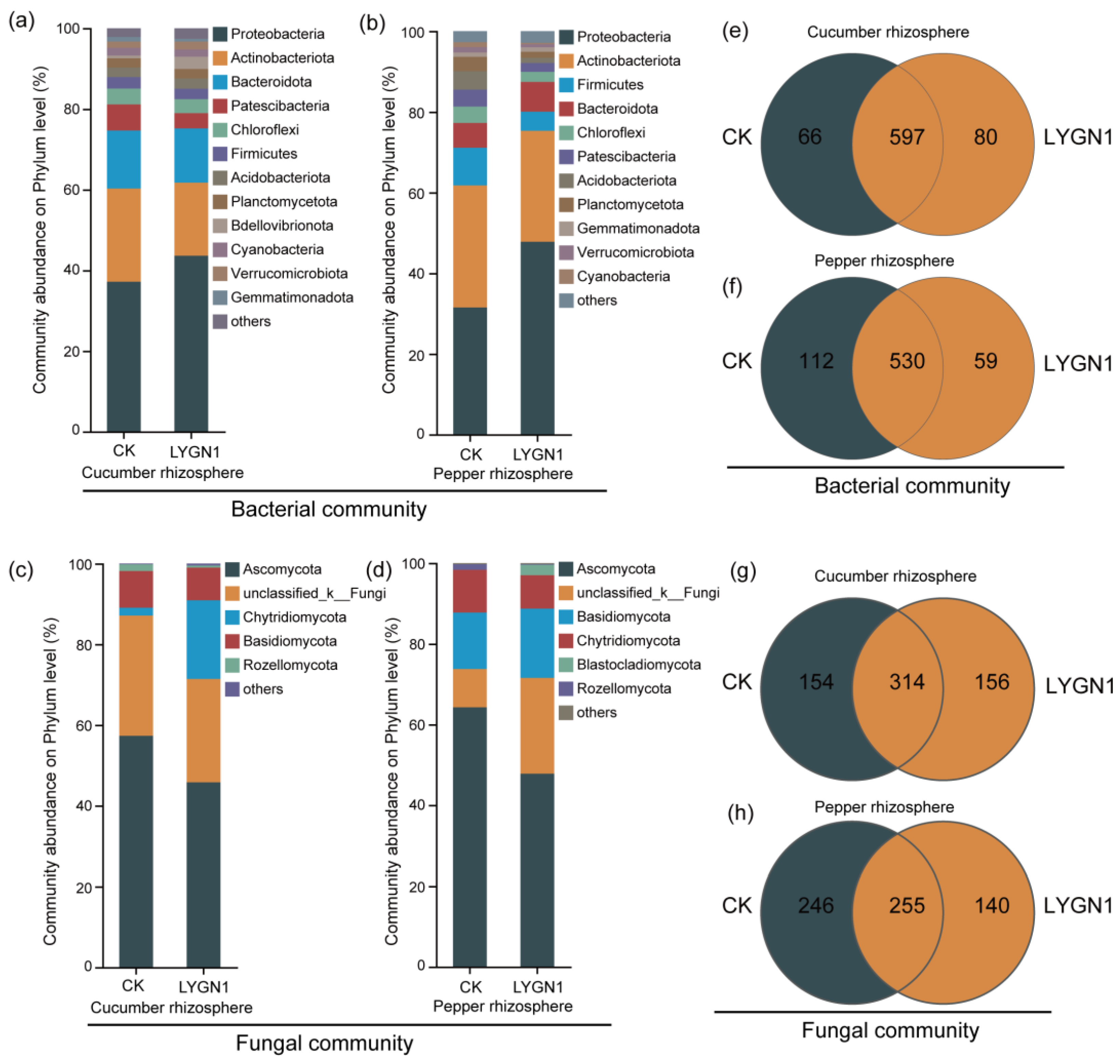 Plants 13 00592 g006