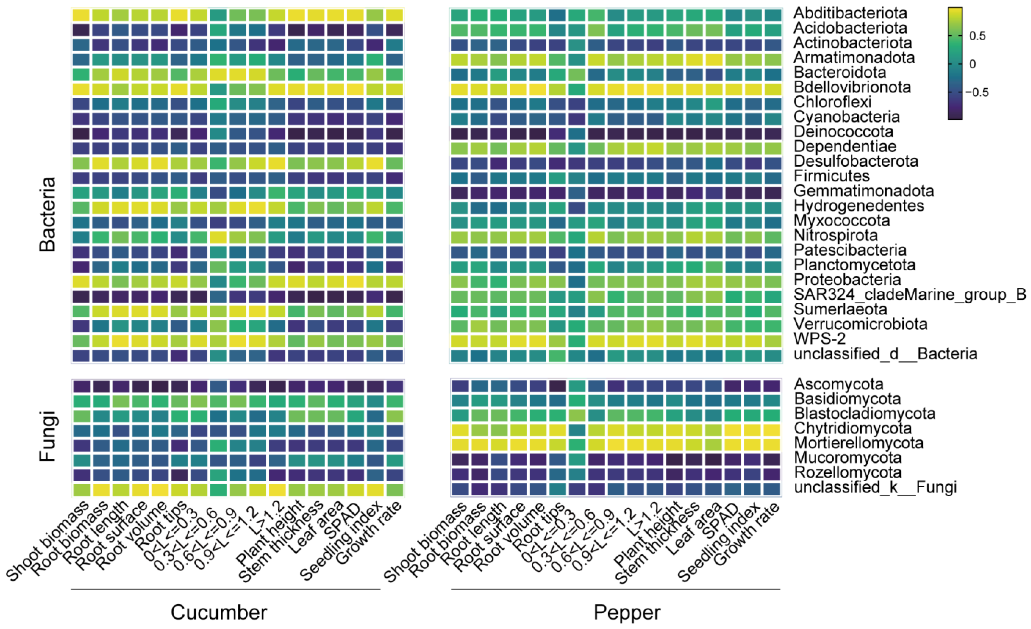 Plants 13 00592 g008