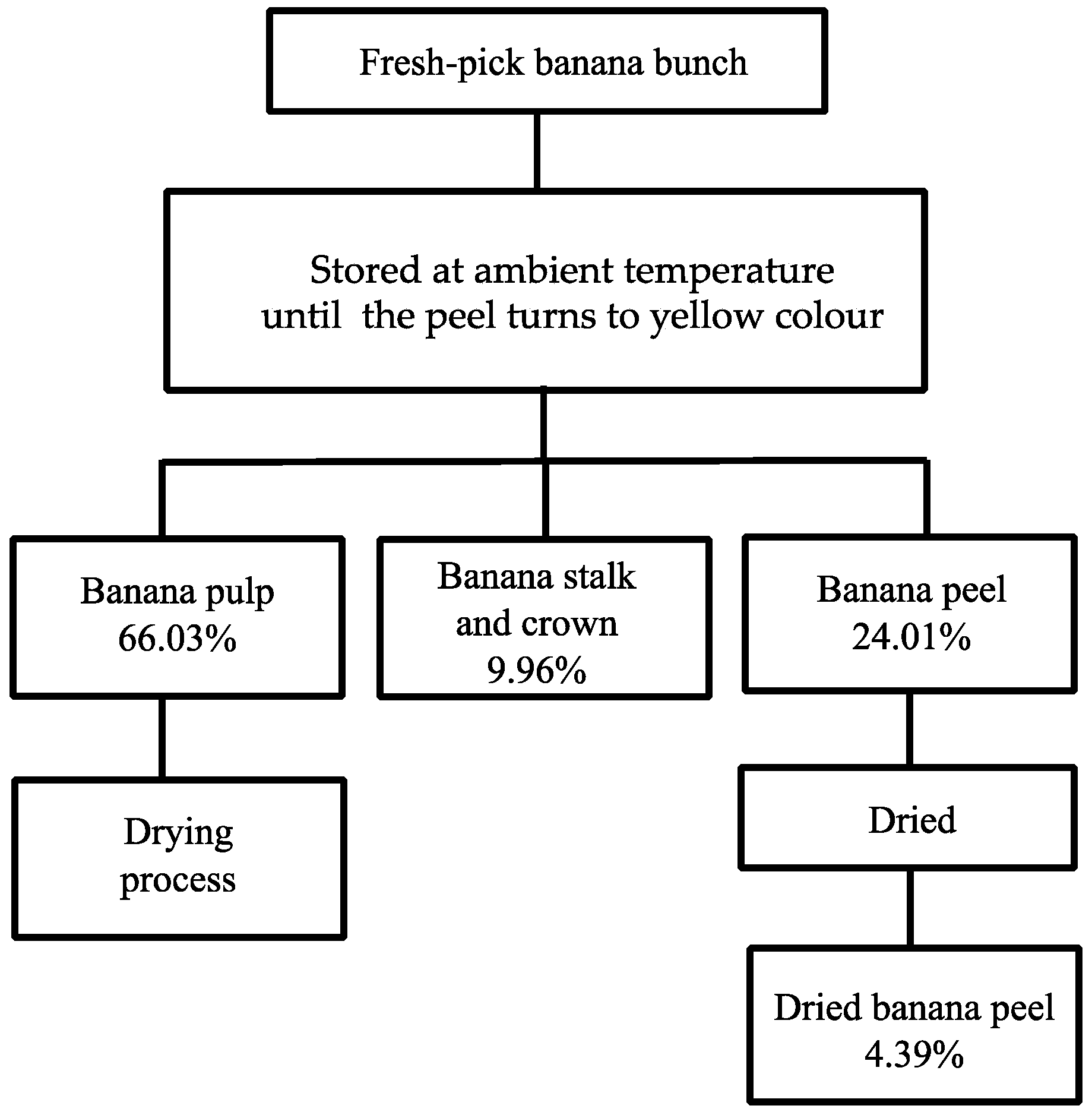 Plants 13 00593 g001