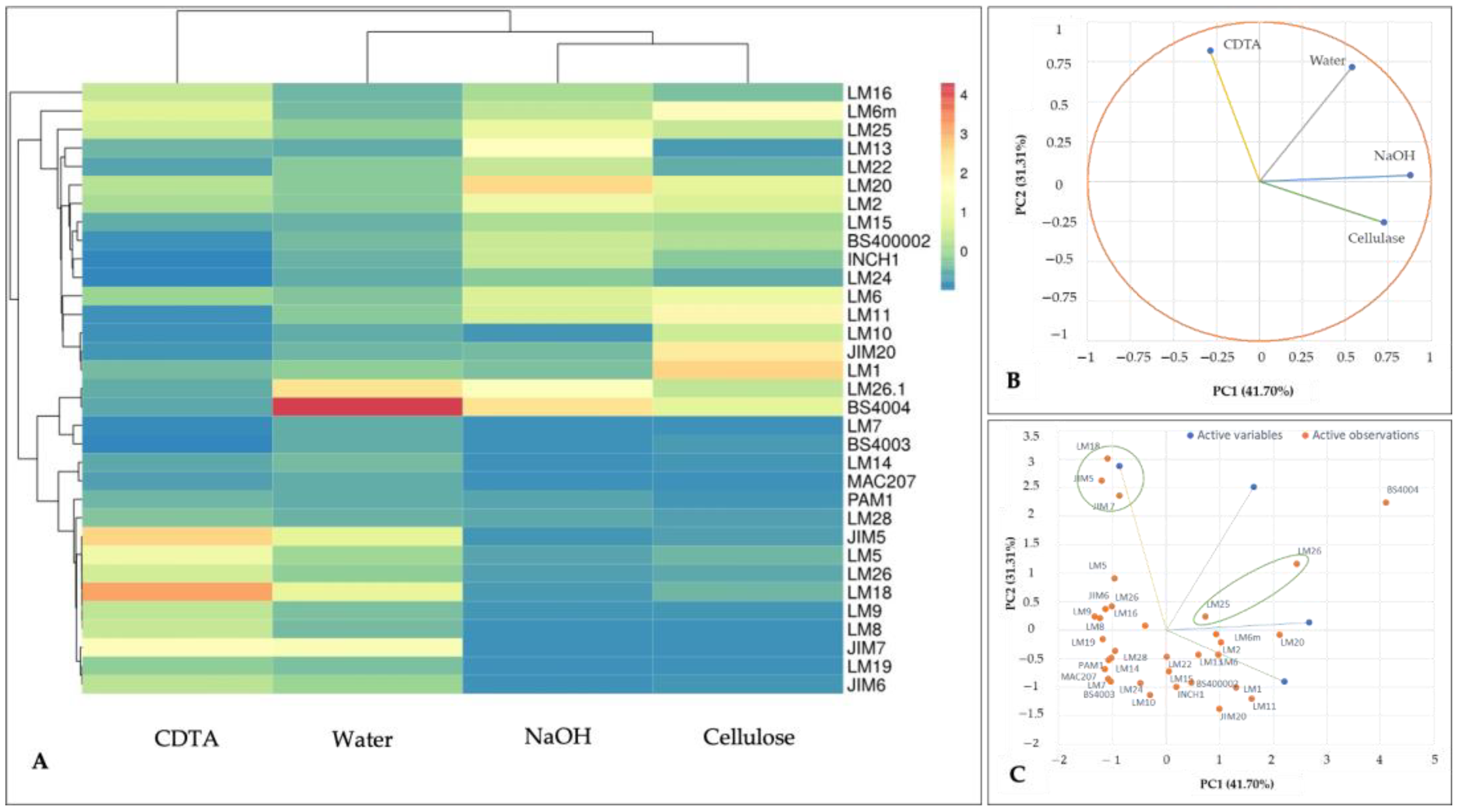 Plants 13 00593 g003