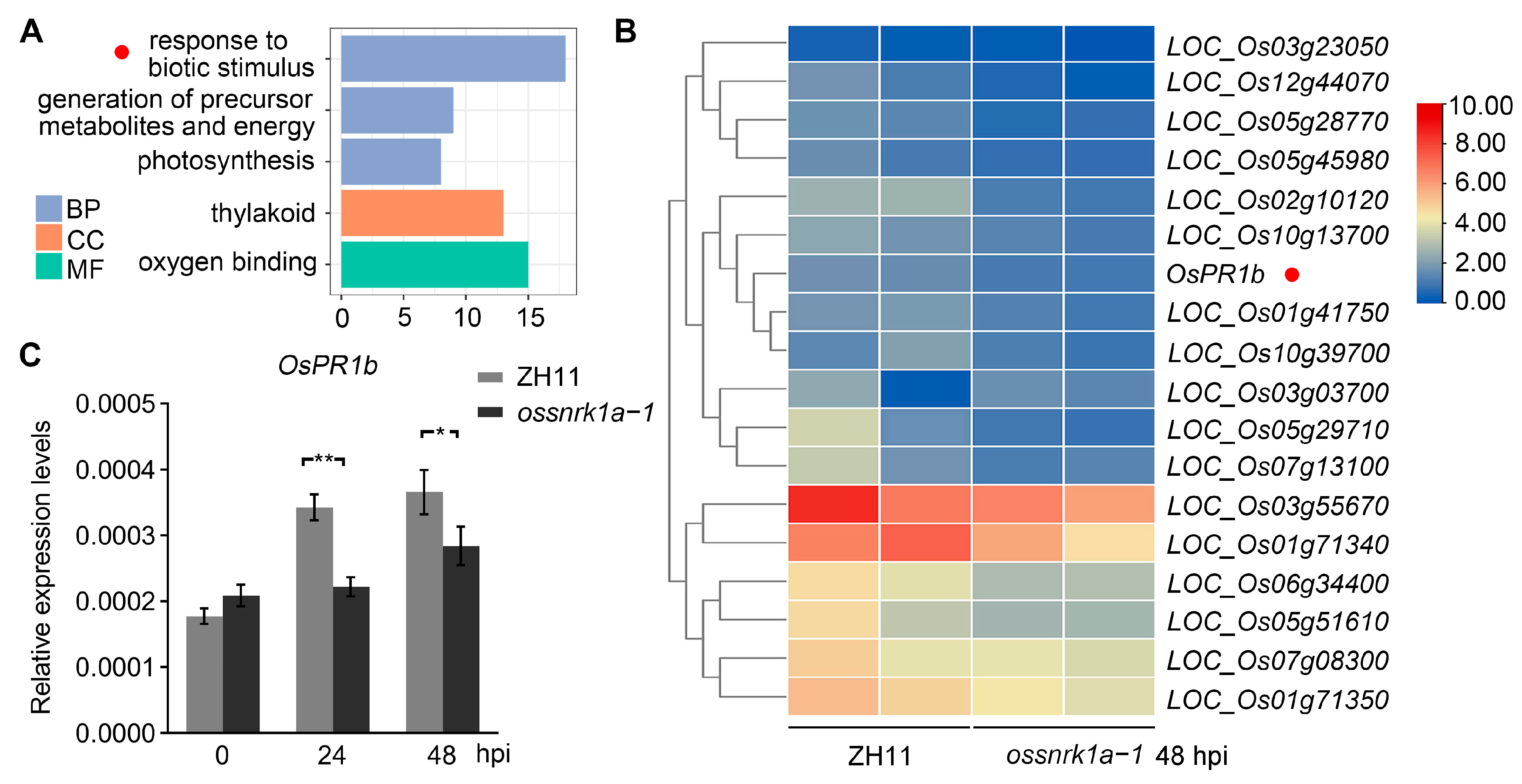 Plants 13 00596 g003