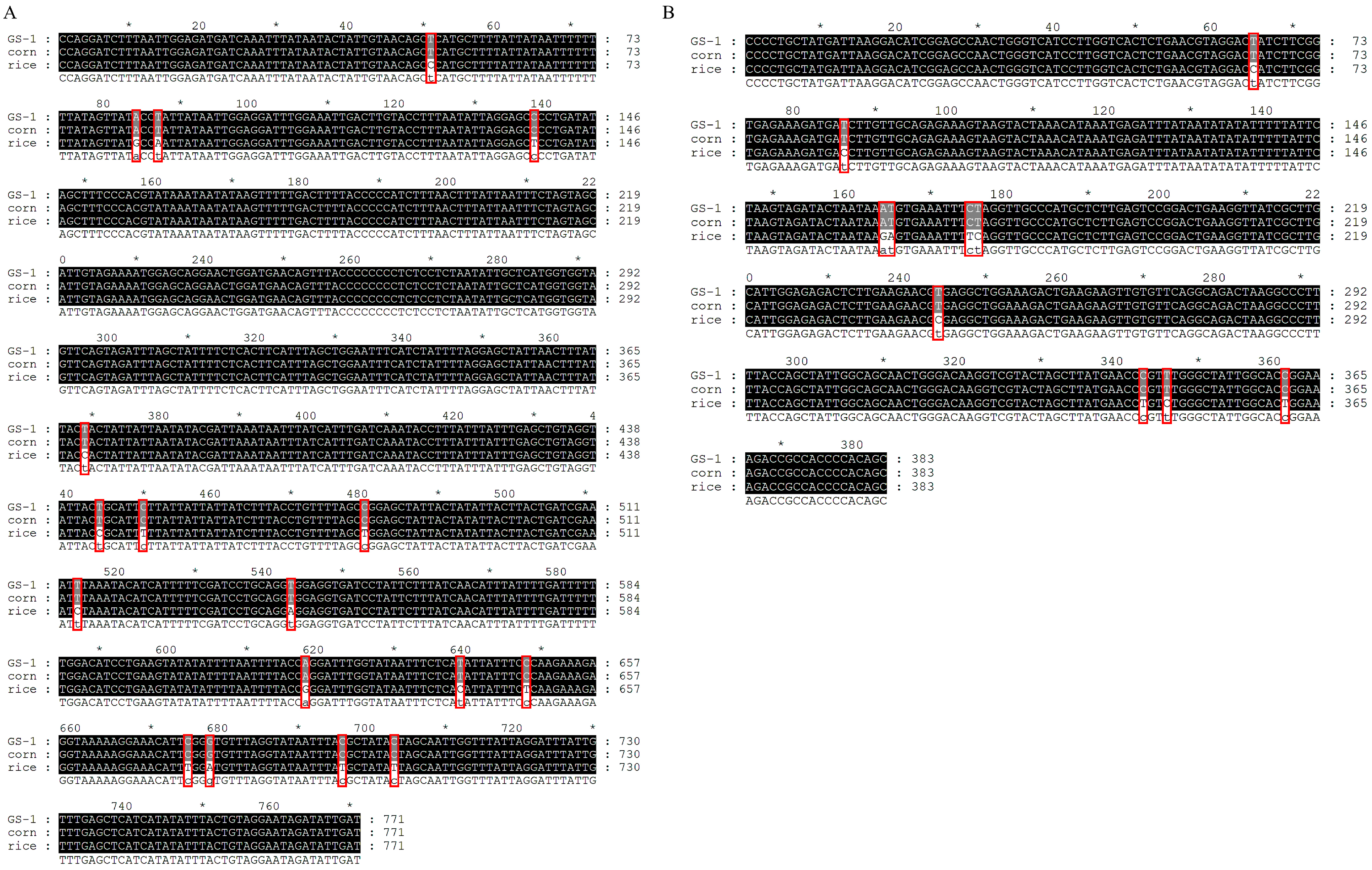 Plants 13 00597 g001